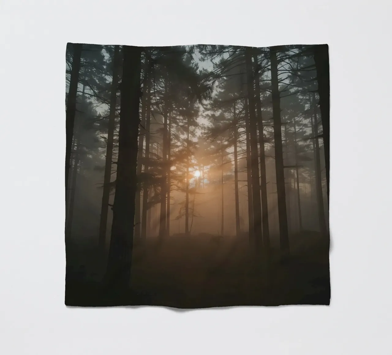Foresta nebbiosa con alberi alti e luce solare coperta in pile da DesignDoodle