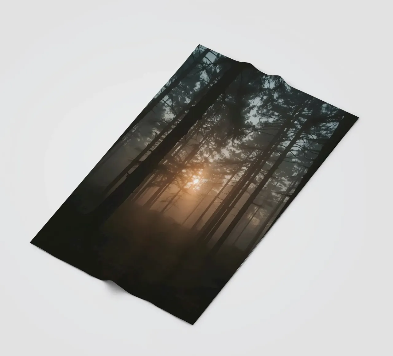 Foresta nebbiosa con alberi alti e luce solare coperta in pile da DesignDoodle