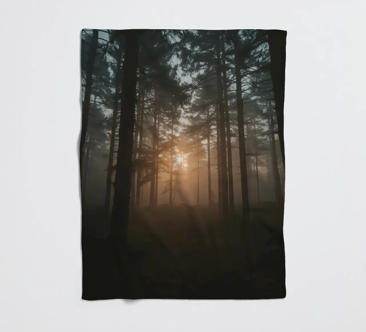 Foresta nebbiosa con alberi alti e luce solare coperta in pile da DesignDoodle