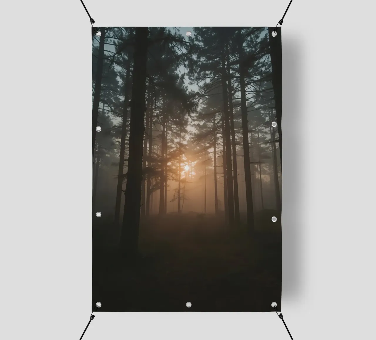 Foresta nebbiosa con alberi alti e luce solare telo in pvc da DesignDoodle