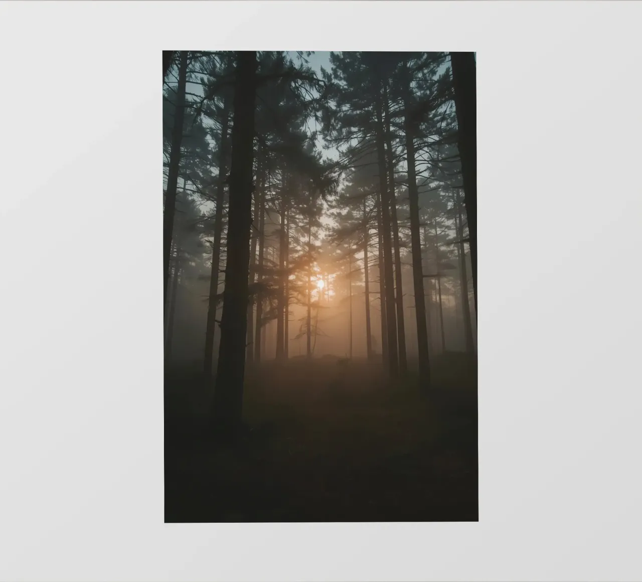 Foresta nebbiosa con alberi alti e luce solare telo in pvc da DesignDoodle
