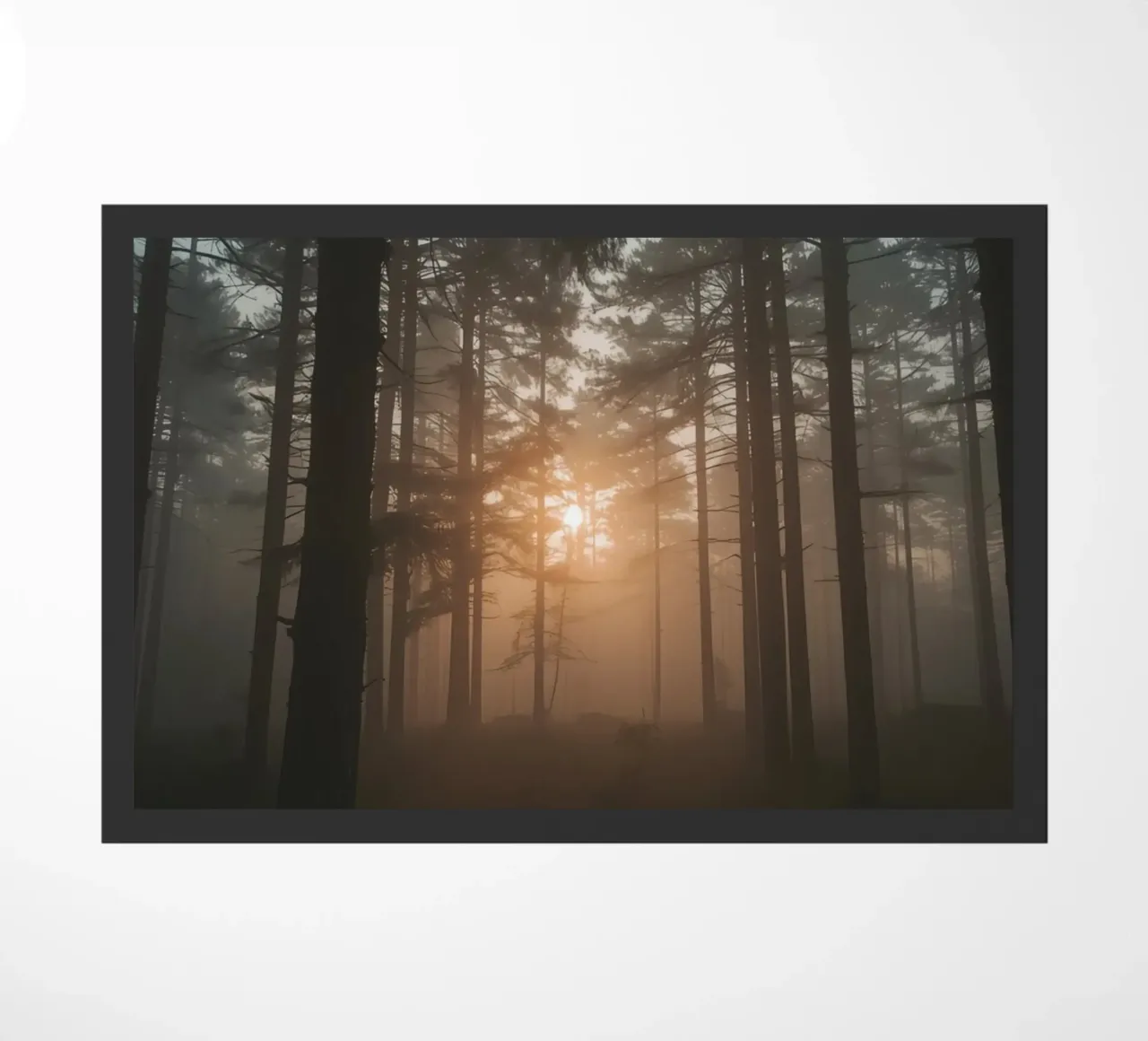 Foresta nebbiosa con alberi alti e luce solare zerbino da DesignDoodle