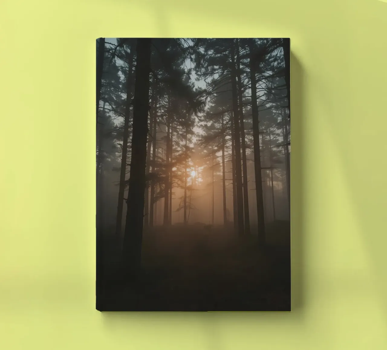 Foggy Forest with Tall Trees and Sunlight notebook by DesignDoodle
