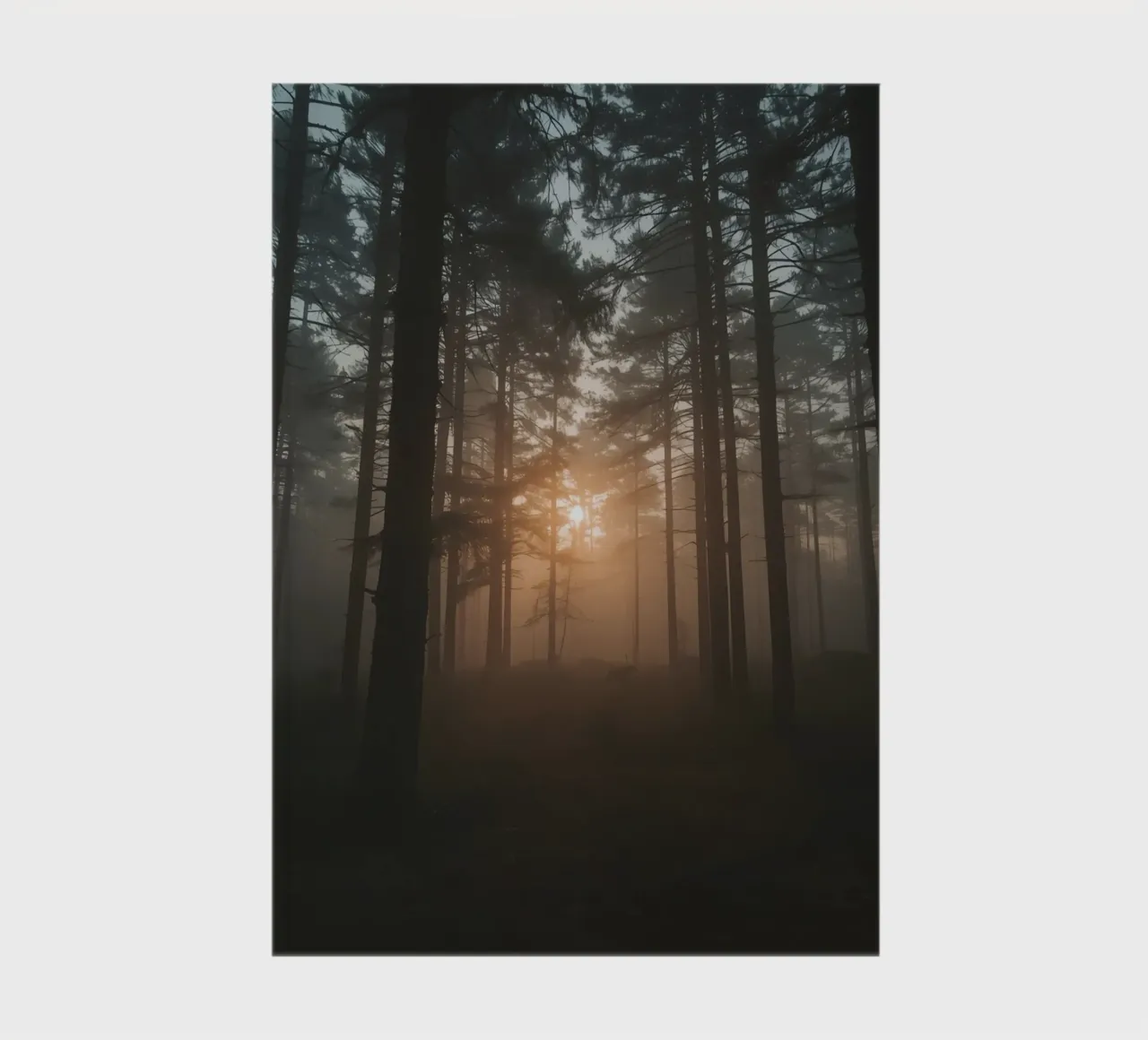 Foggy Forest with Tall Trees and Sunlight notebook by DesignDoodle