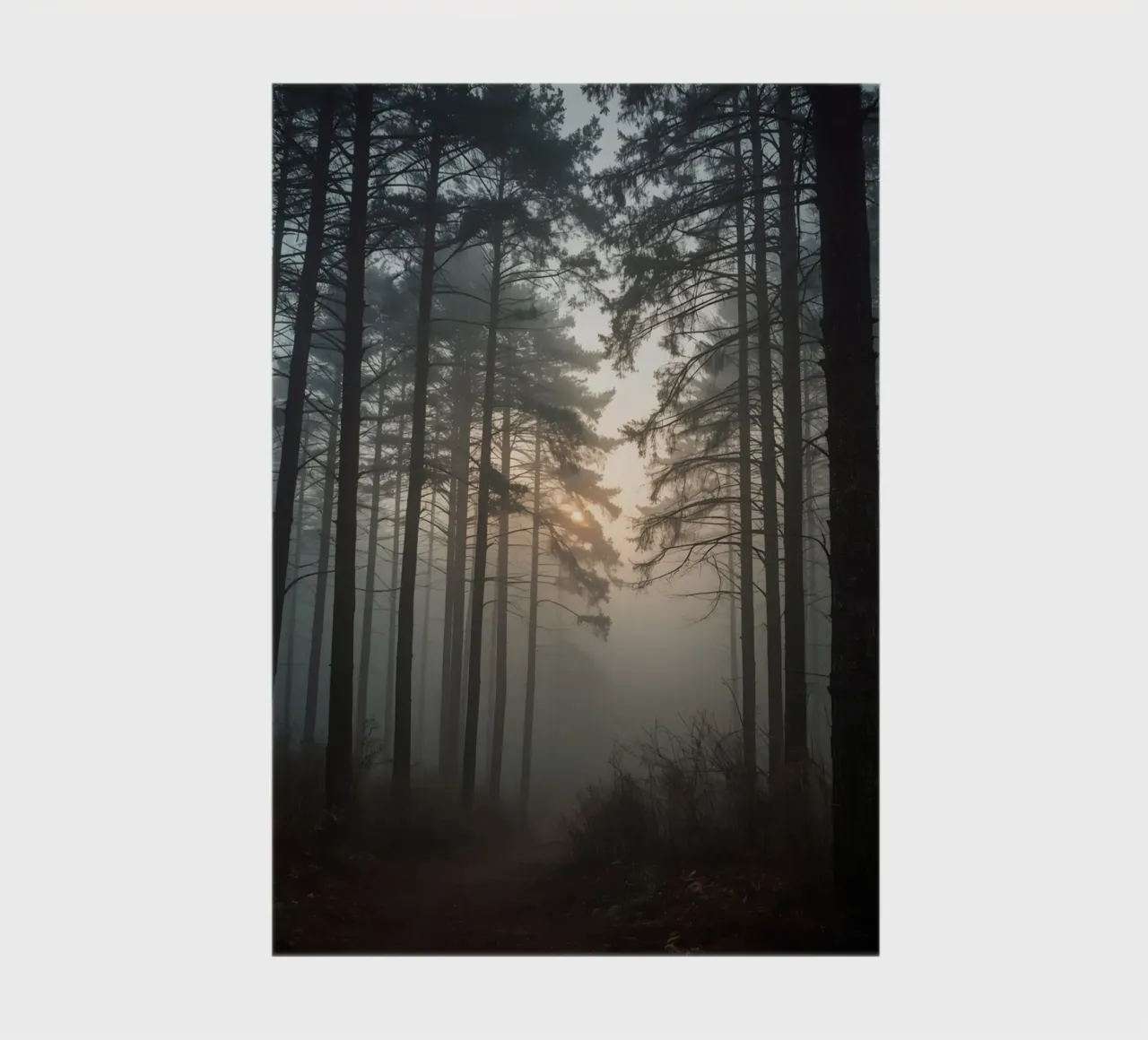 Forest Landscape with Tall Trees and Dense Fog notebook by DesignDoodle