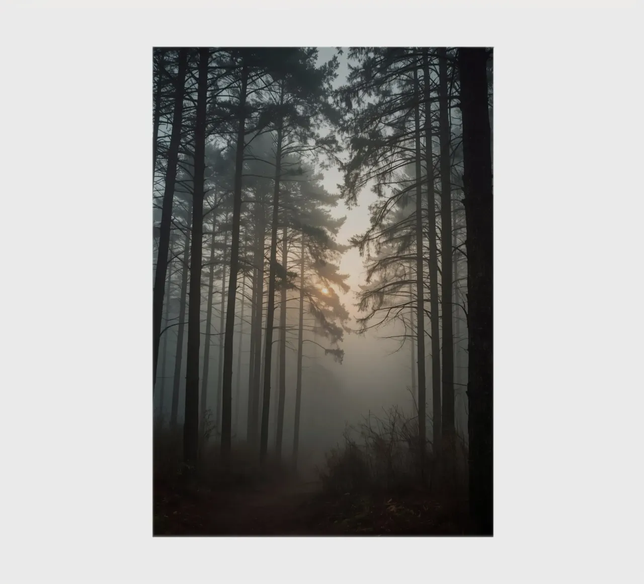 Forest Landscape with Tall Trees and Dense Fog notebook by DesignDoodle
