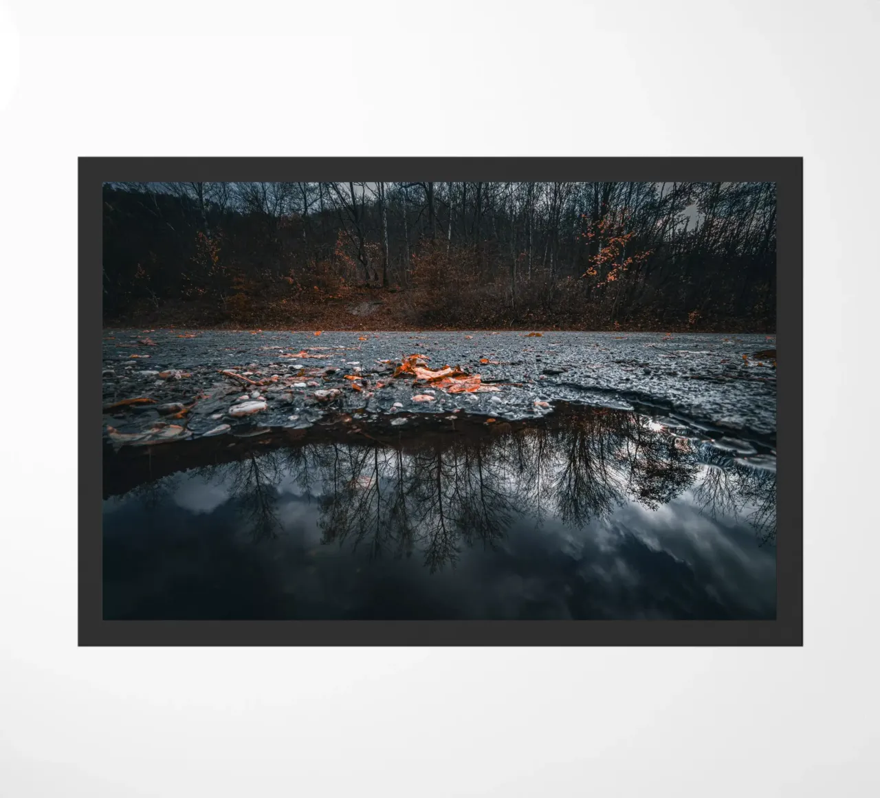 Riflesso nell'acqua zerbino da Marcus Beckert | Fotografie
