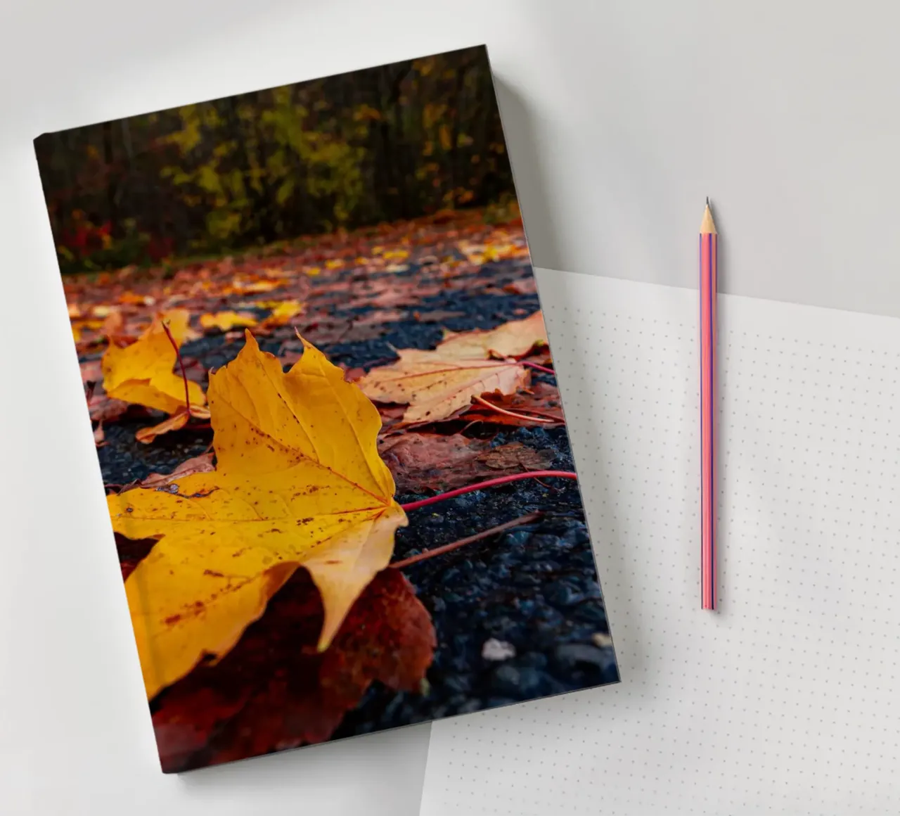 Maple leaf in autumn notebook by Marcus Beckert | Fotografie