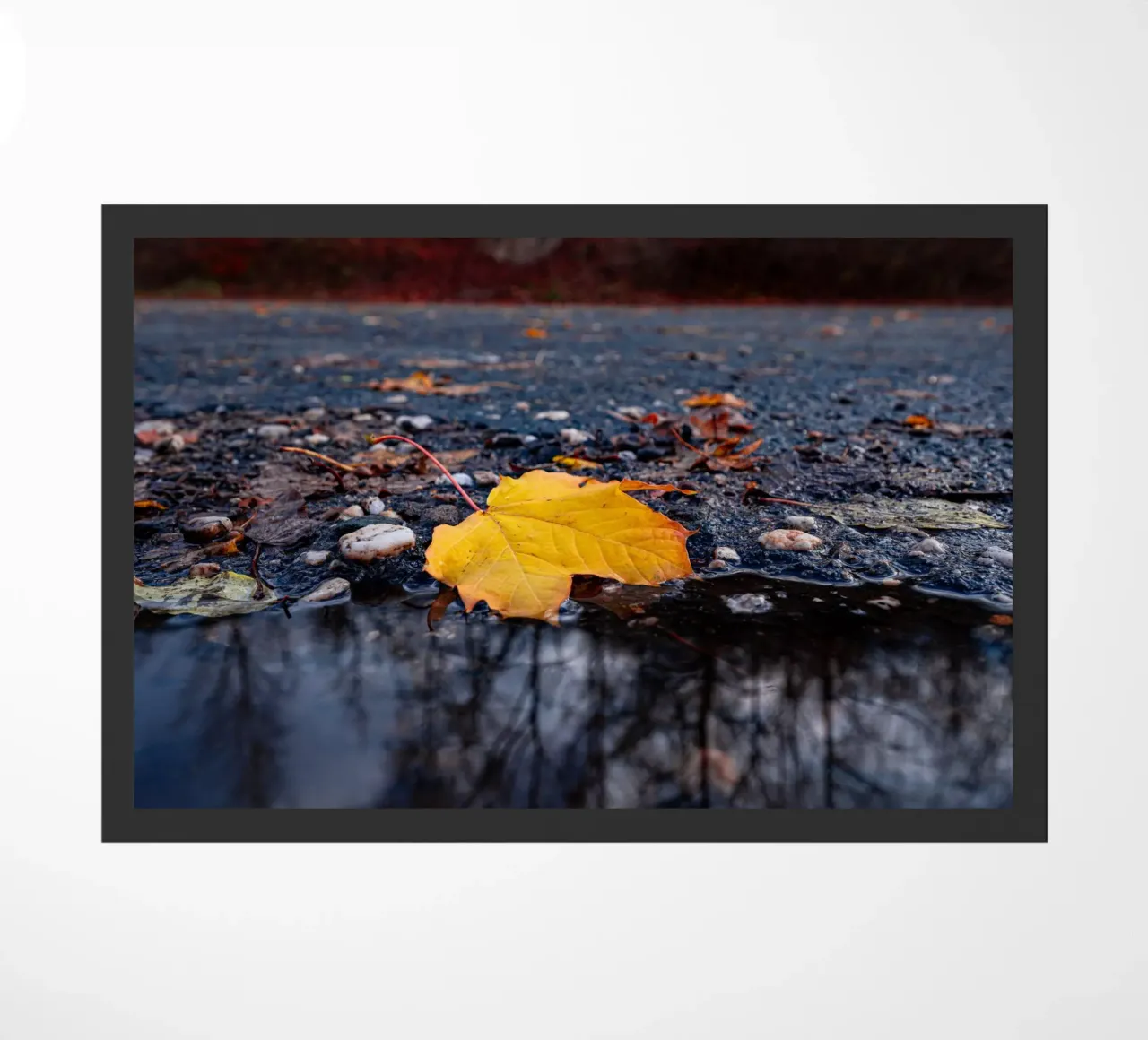 Yellow maple leaf doormat by Marcus Beckert | Fotografie