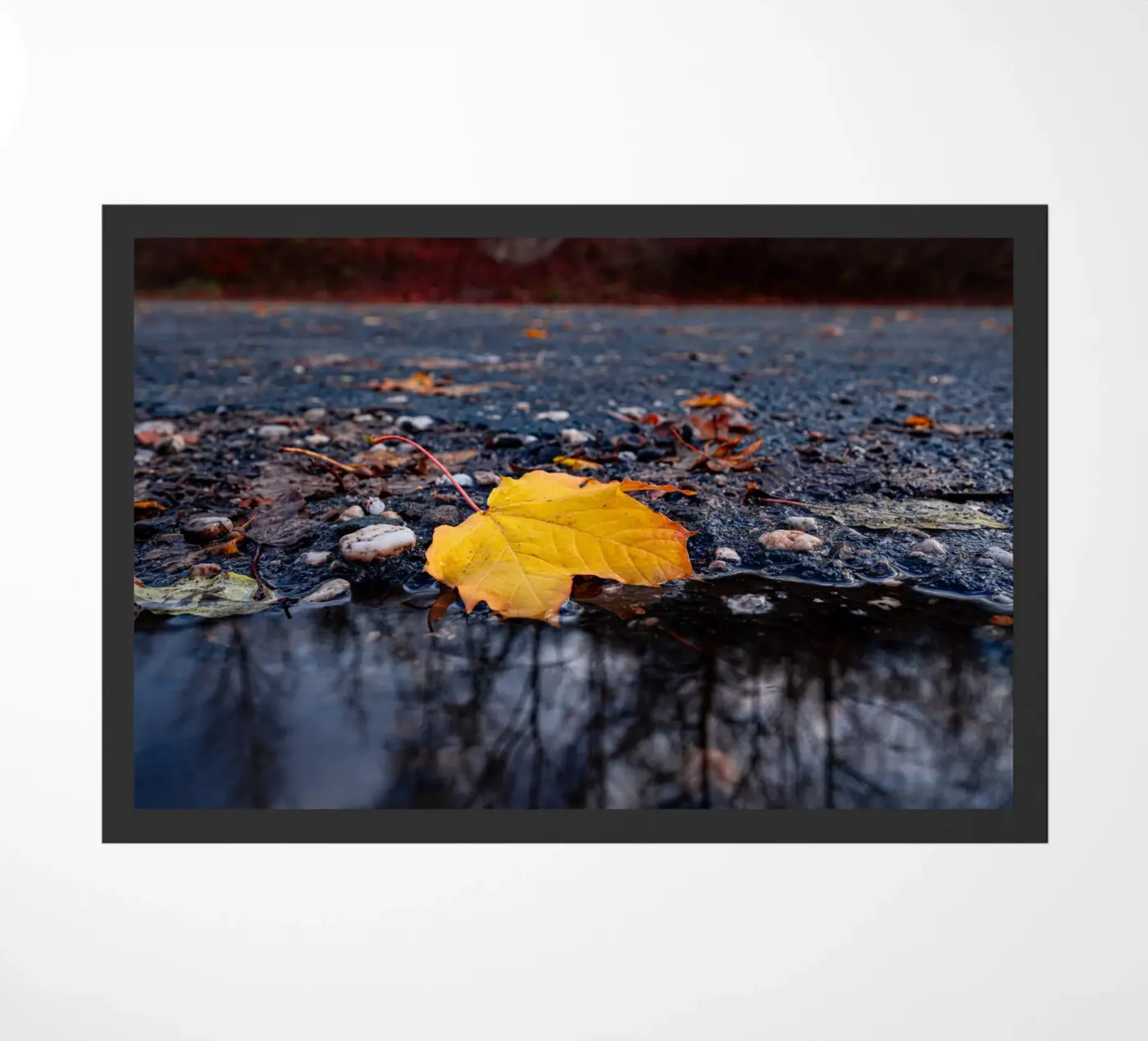 Yellow maple leaf Fußmatte von Marcus Beckert | Fotografie