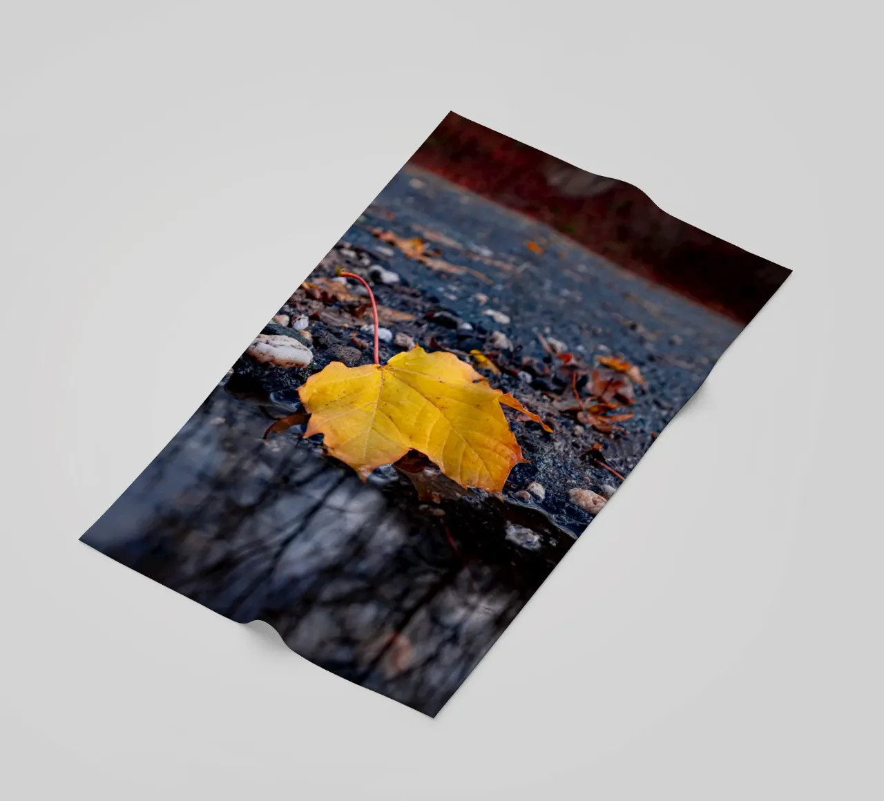 Foglia d'acero gialla telo mare da Marcus Beckert | Fotografie