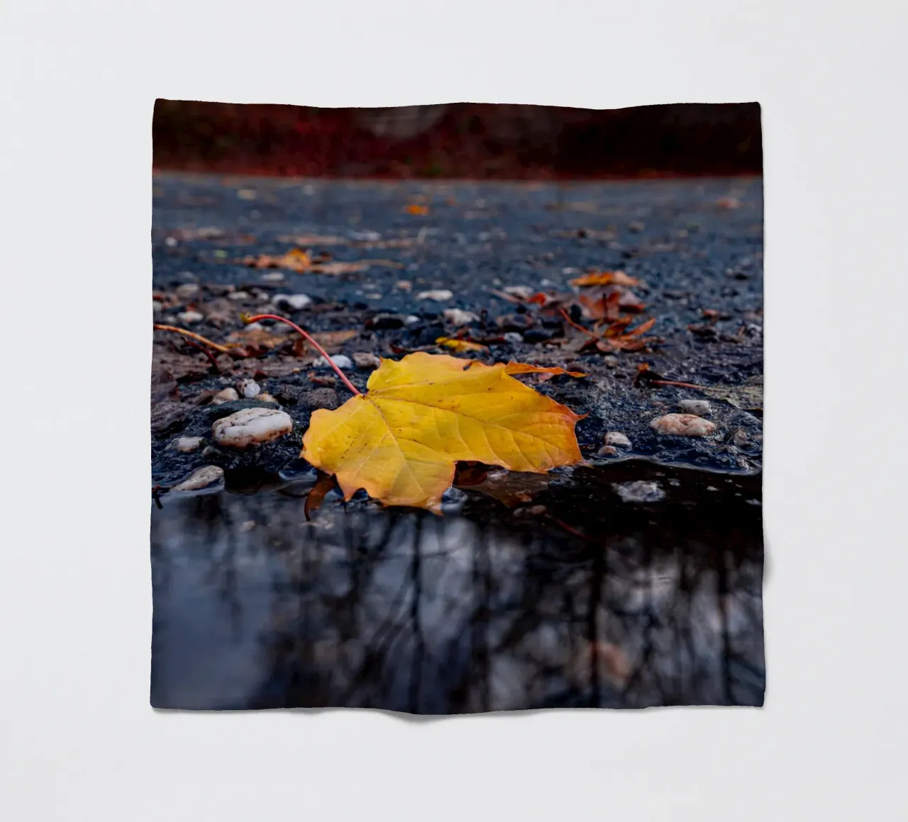 Yellow maple leaf fleece blanket by Marcus Beckert | Fotografie