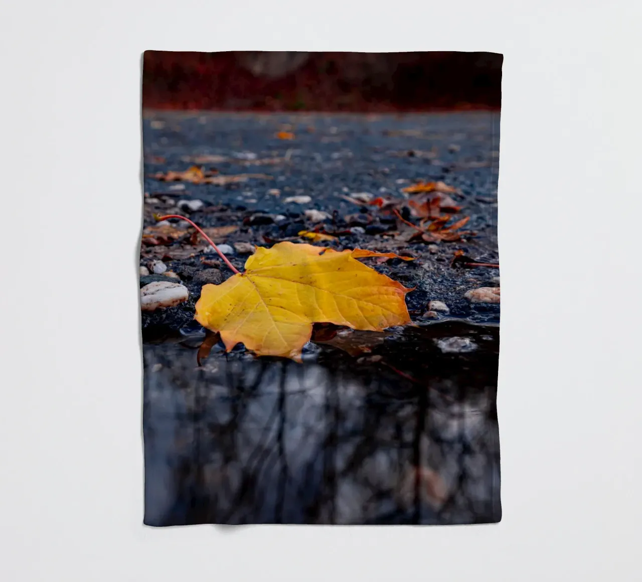 Yellow maple leaf fleece blanket by Marcus Beckert | Fotografie