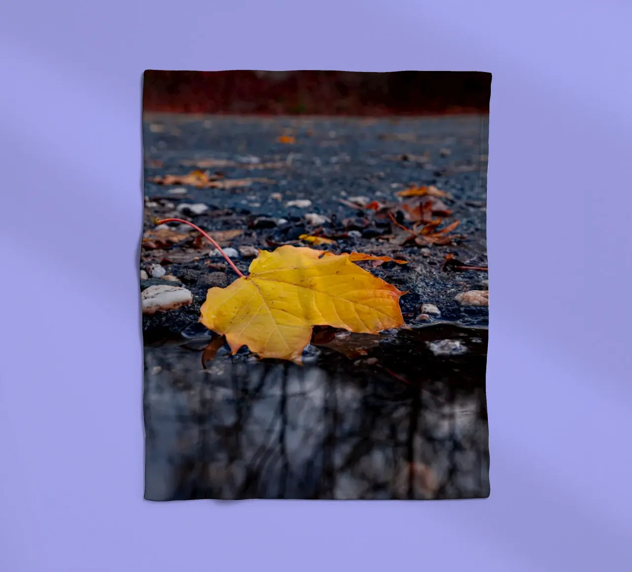 Yellow maple leaf fleece blanket by Marcus Beckert | Fotografie