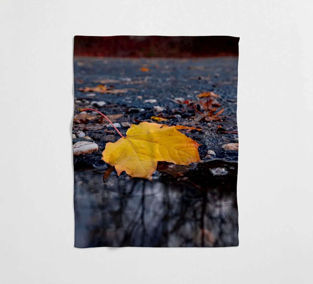Yellow maple leaf fleece blanket by Marcus Beckert | Fotografie