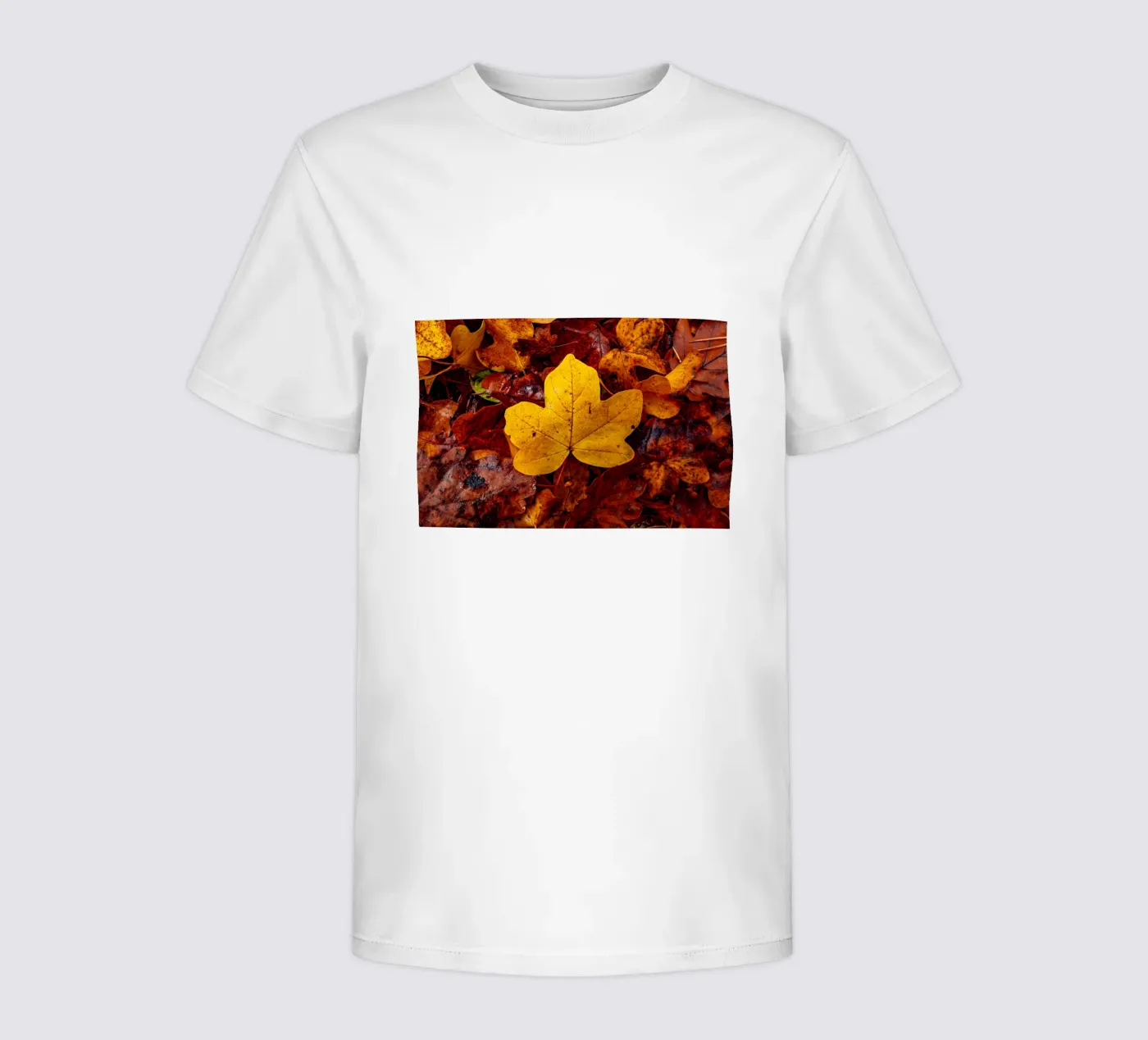 Yellow maple leaf Kinder T-Shirt von Marcus Beckert | Fotografie