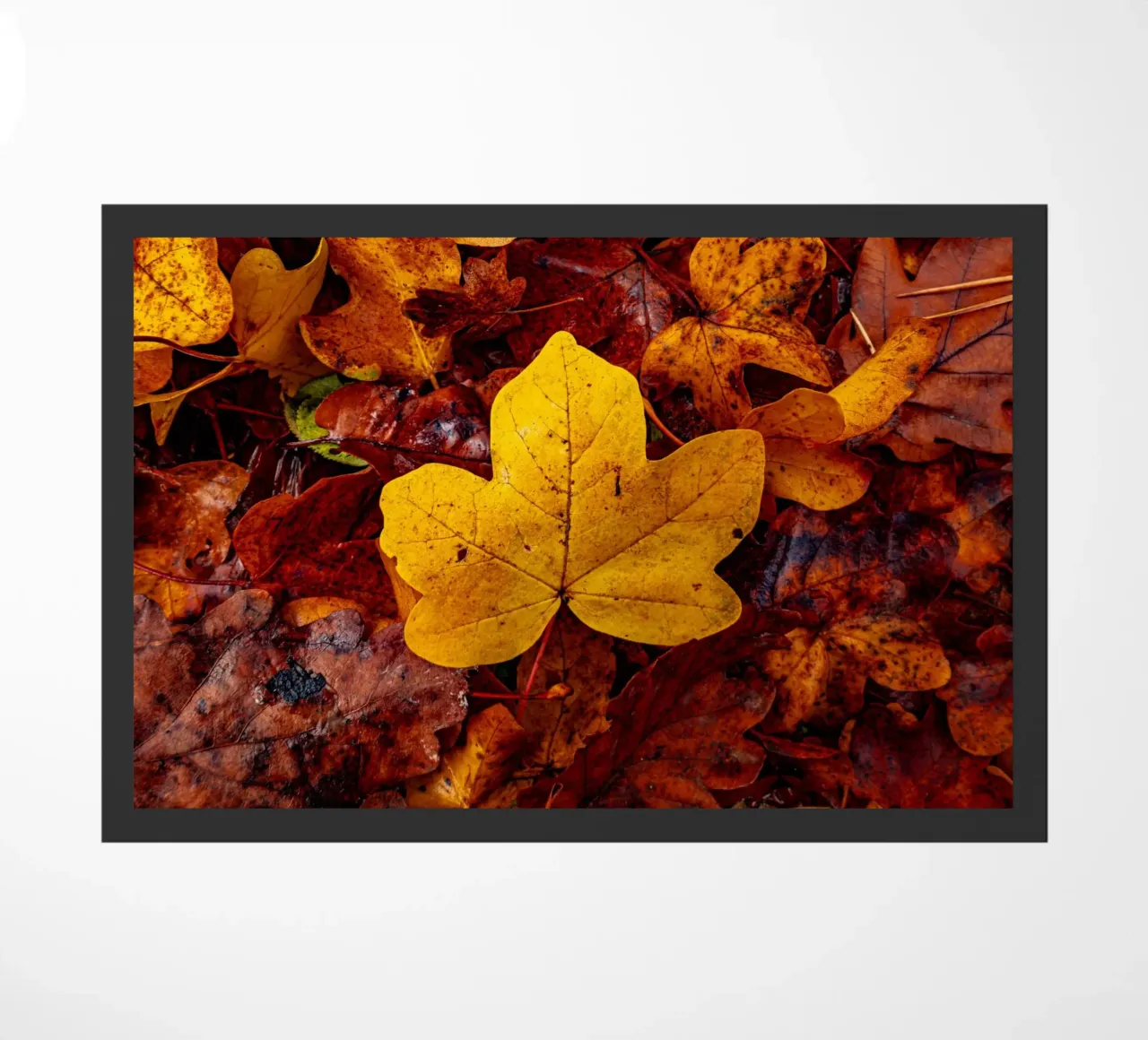Yellow maple leaf doormat by Marcus Beckert | Fotografie