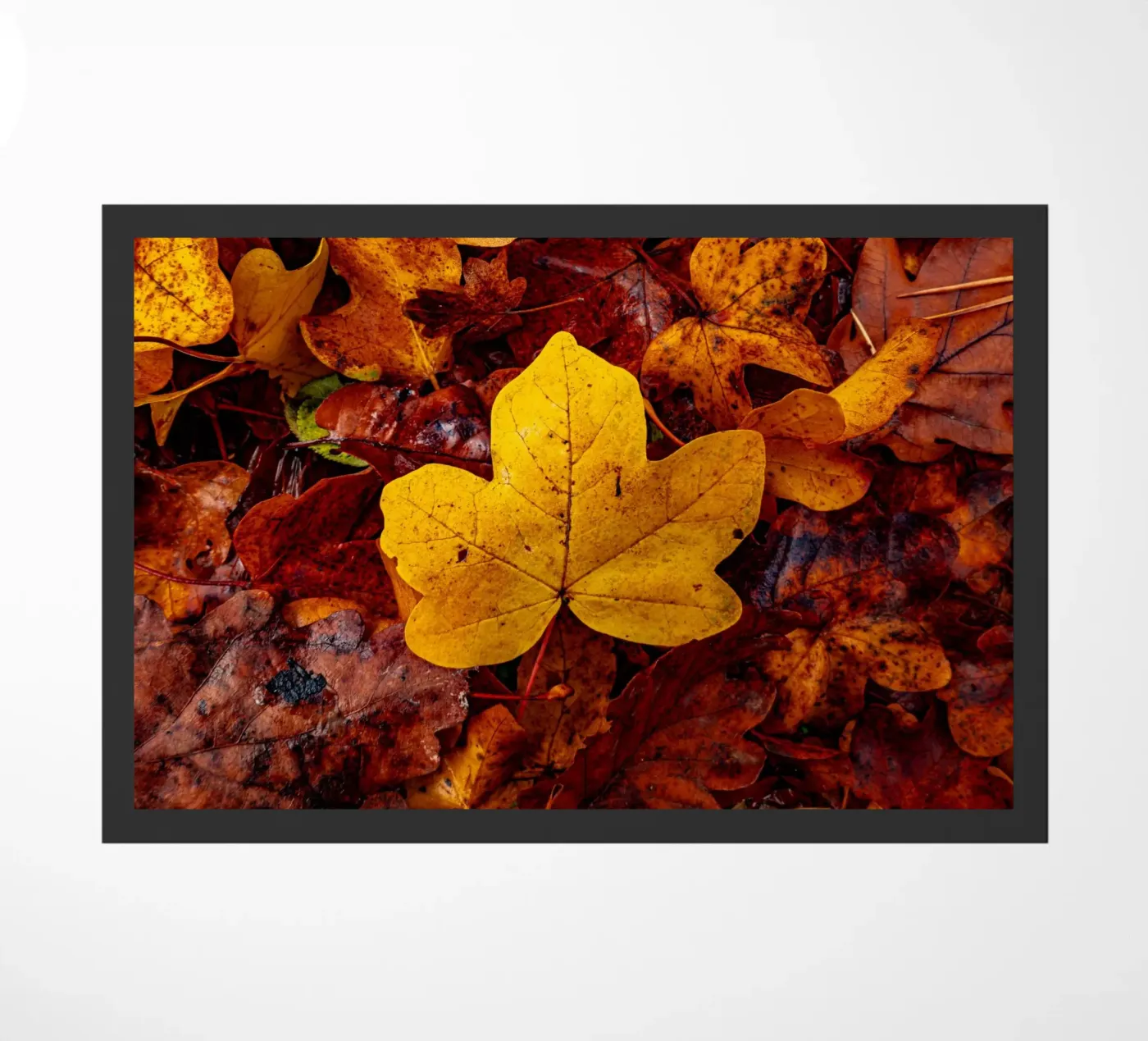 Yellow maple leaf paillasson de Marcus Beckert | Fotografie