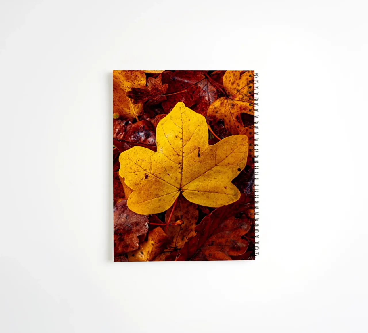 Yellow maple leaf spiral notebook by Marcus Beckert | Fotografie