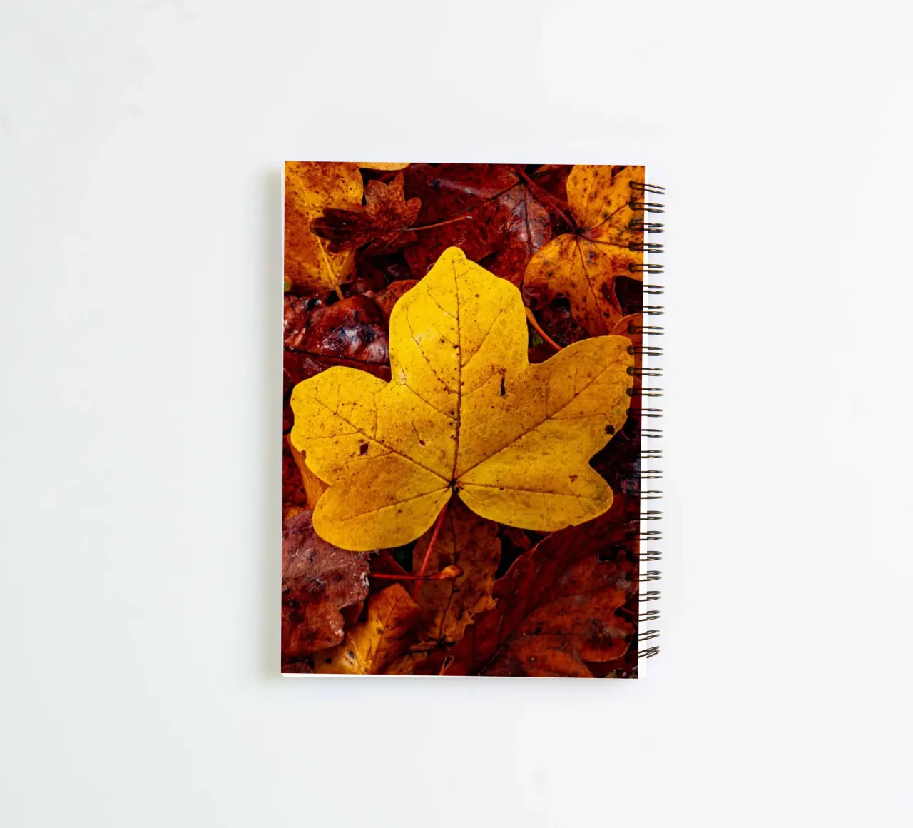 Yellow maple leaf spiral notebook by Marcus Beckert | Fotografie