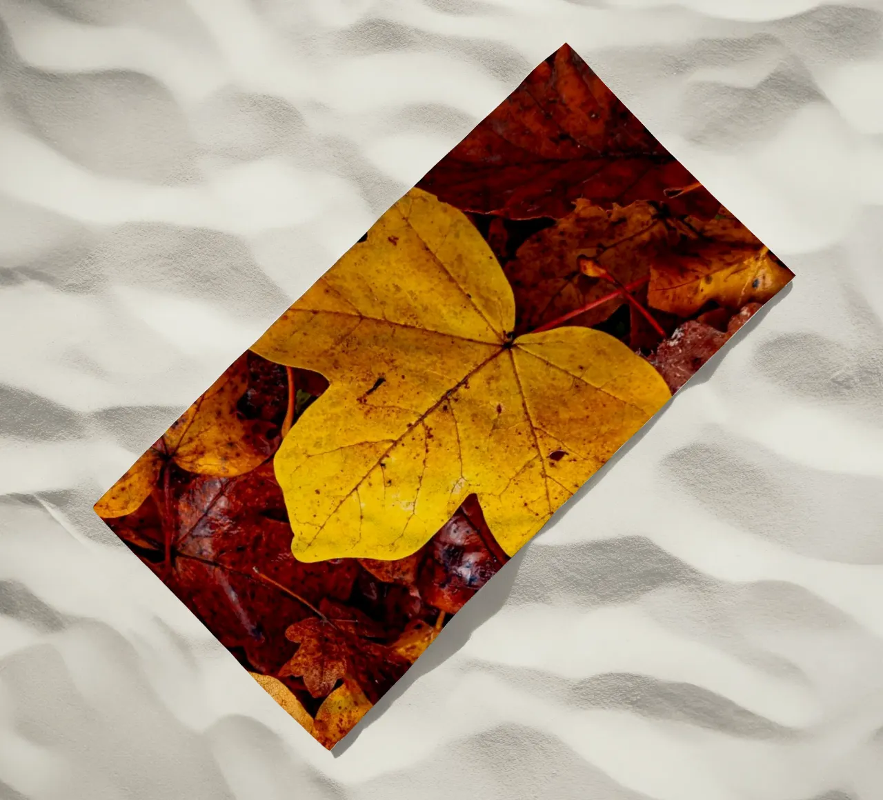 Yellow maple leaf telo mare da Marcus Beckert | Fotografie