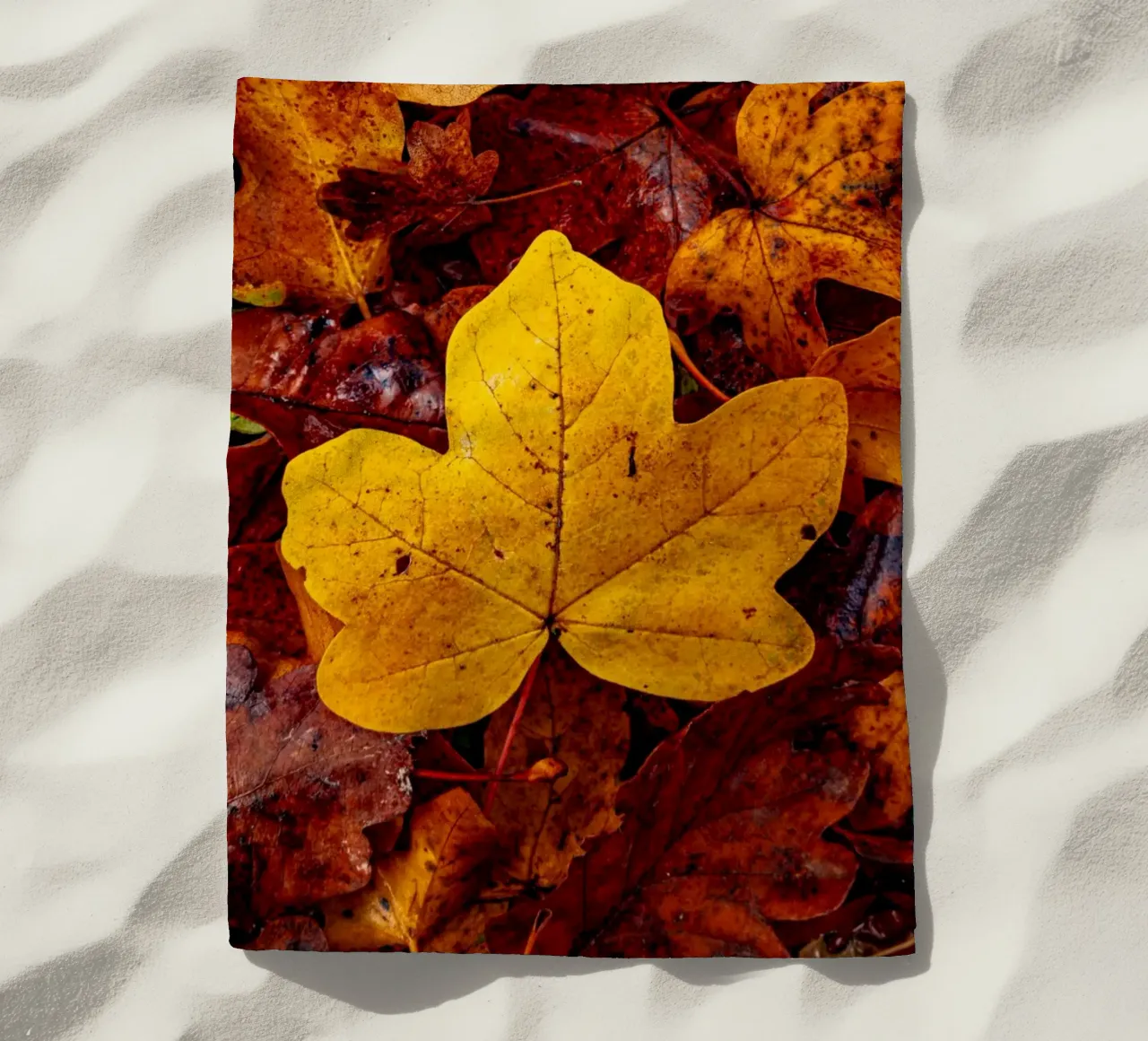 Yellow maple leaf telo mare da Marcus Beckert | Fotografie