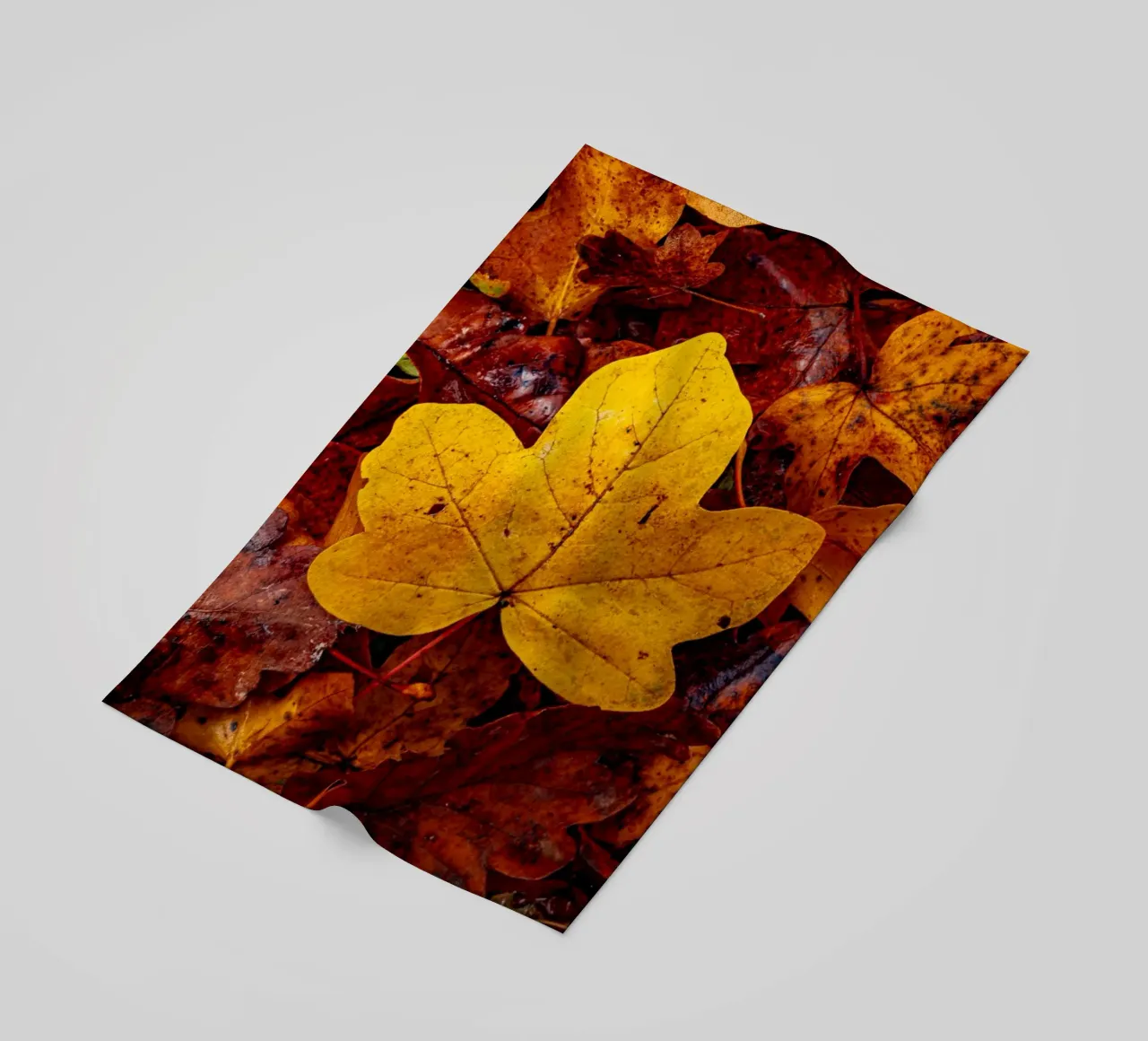 Yellow maple leaf telo mare da Marcus Beckert | Fotografie