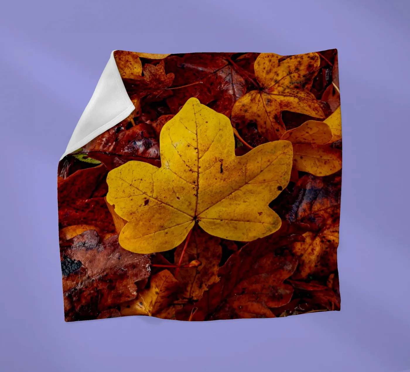 Yellow maple leaf plaid polaire de Marcus Beckert | Fotografie