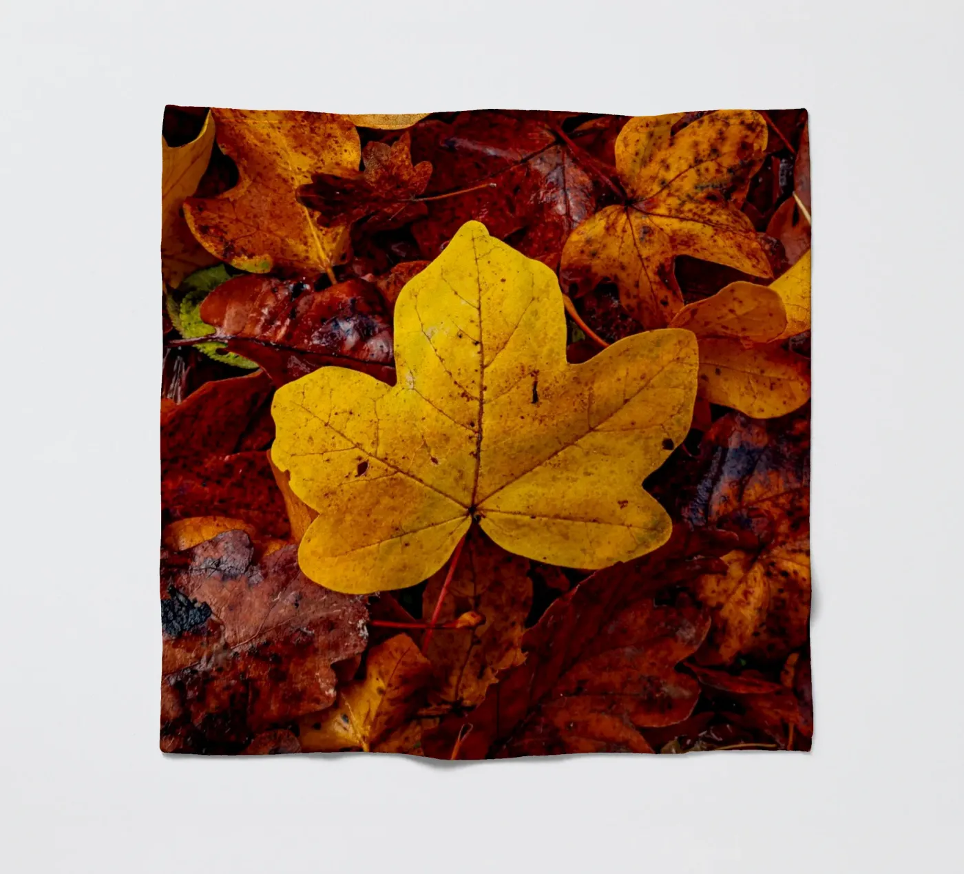 Yellow maple leaf plaid polaire de Marcus Beckert | Fotografie