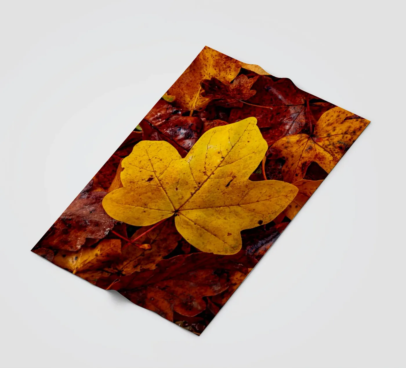 Yellow maple leaf plaid polaire de Marcus Beckert | Fotografie