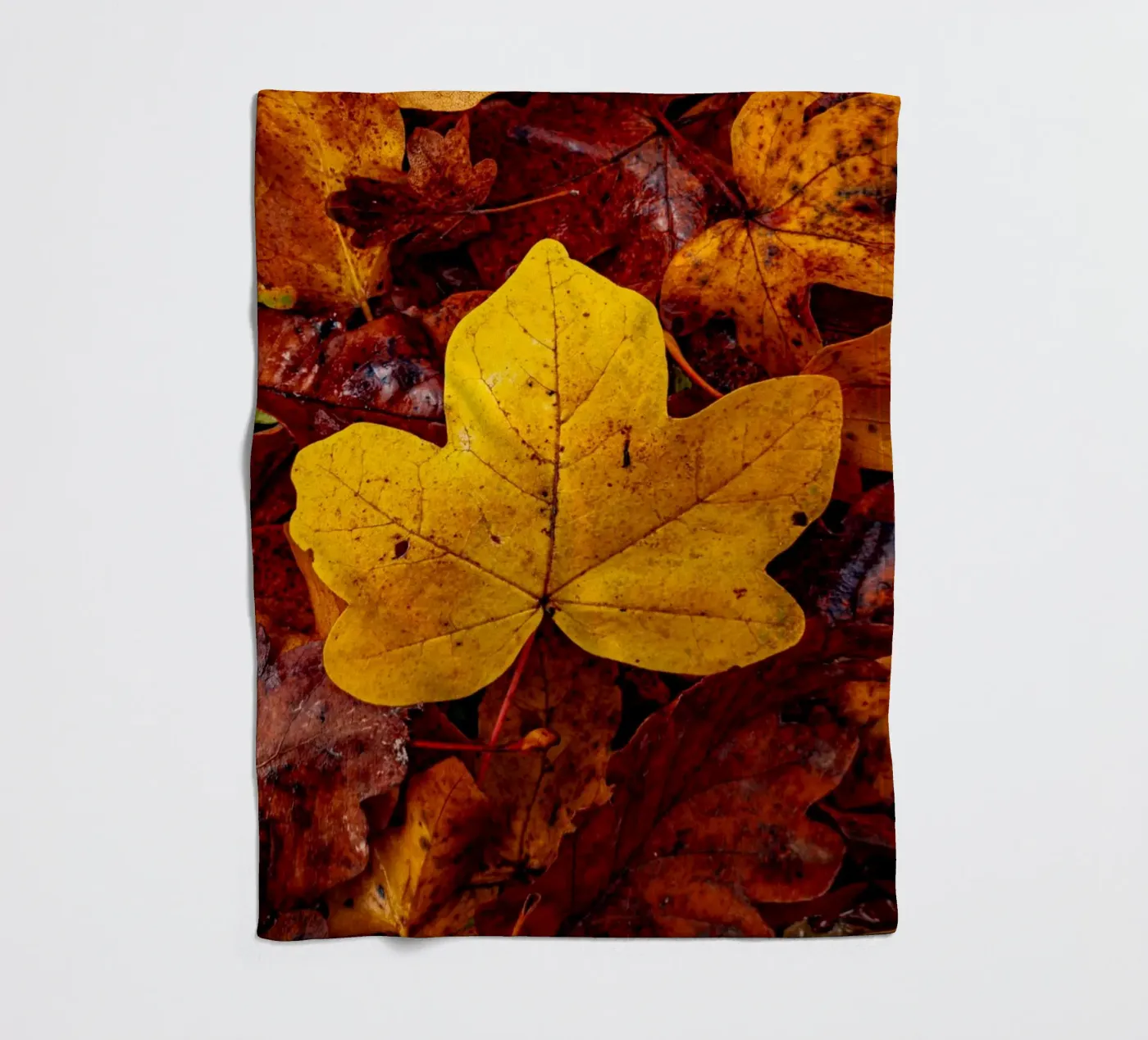 Yellow maple leaf plaid polaire de Marcus Beckert | Fotografie
