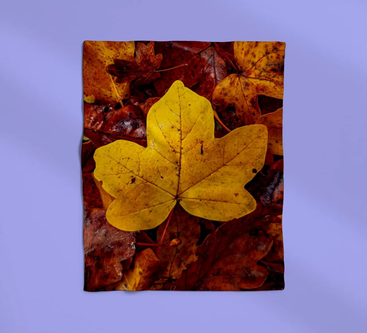 Yellow maple leaf fleece blanket by Marcus Beckert | Fotografie