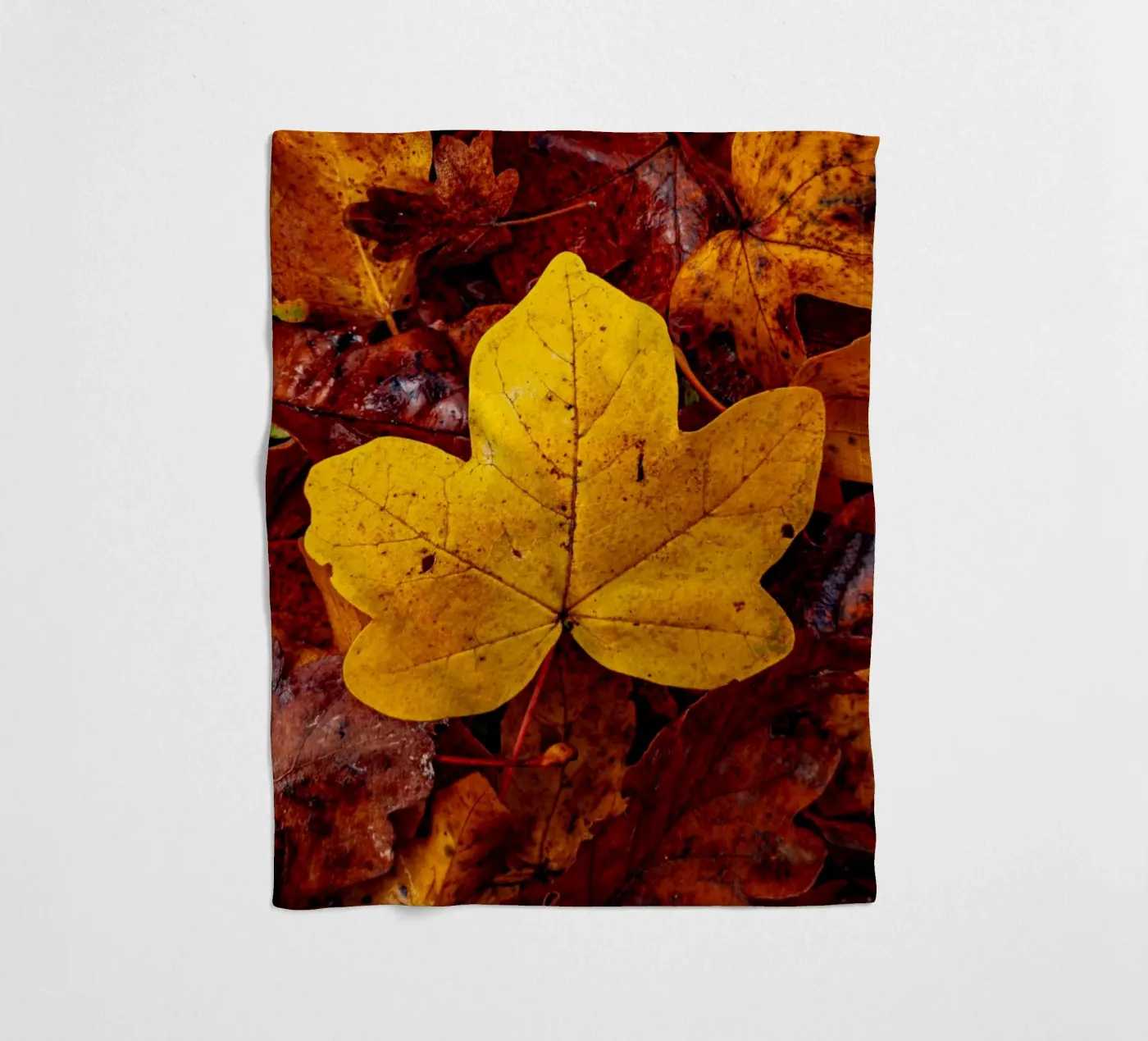 Yellow maple leaf plaid polaire de Marcus Beckert | Fotografie