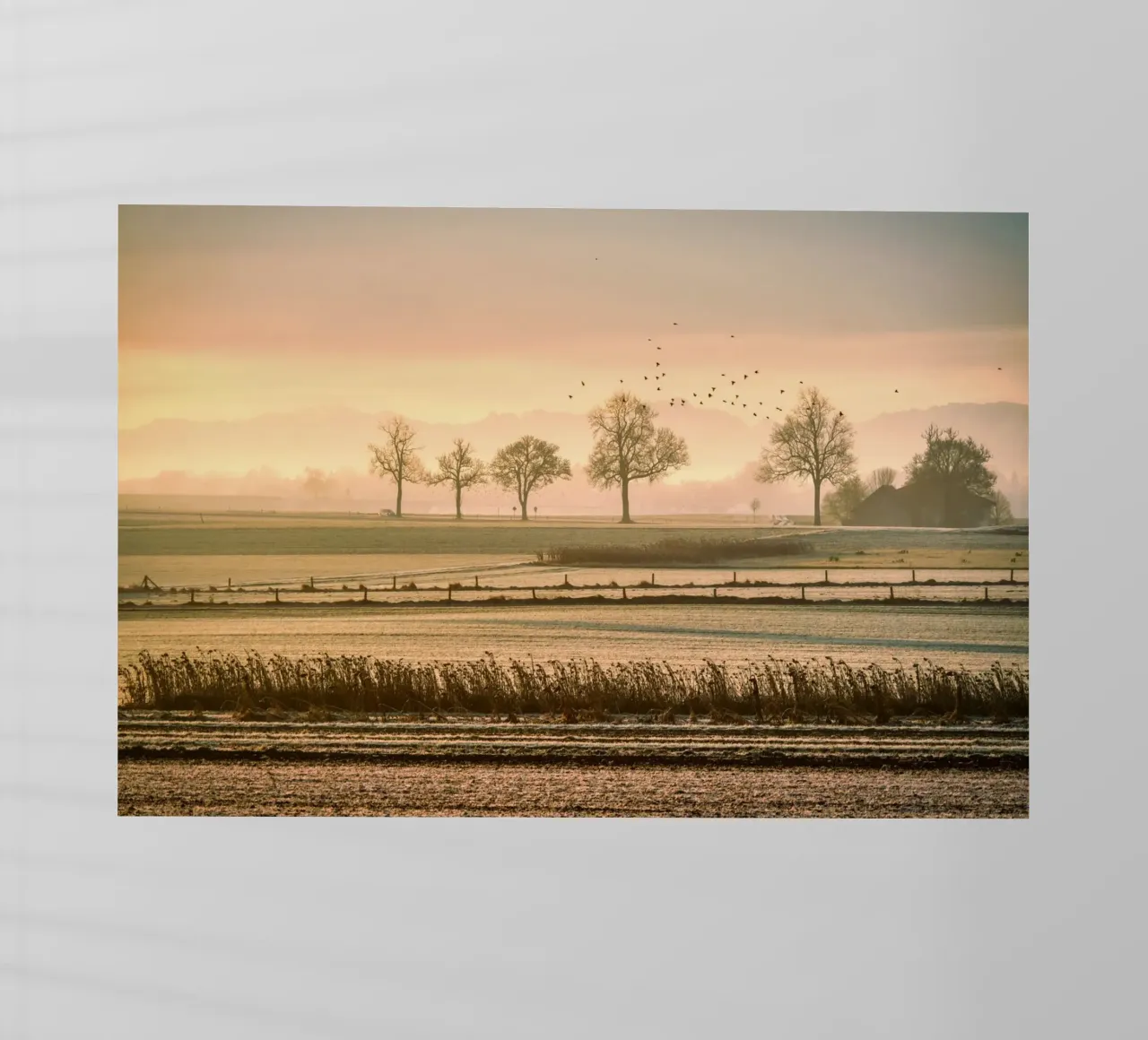 old farm pellicola backlit da pastel color shape