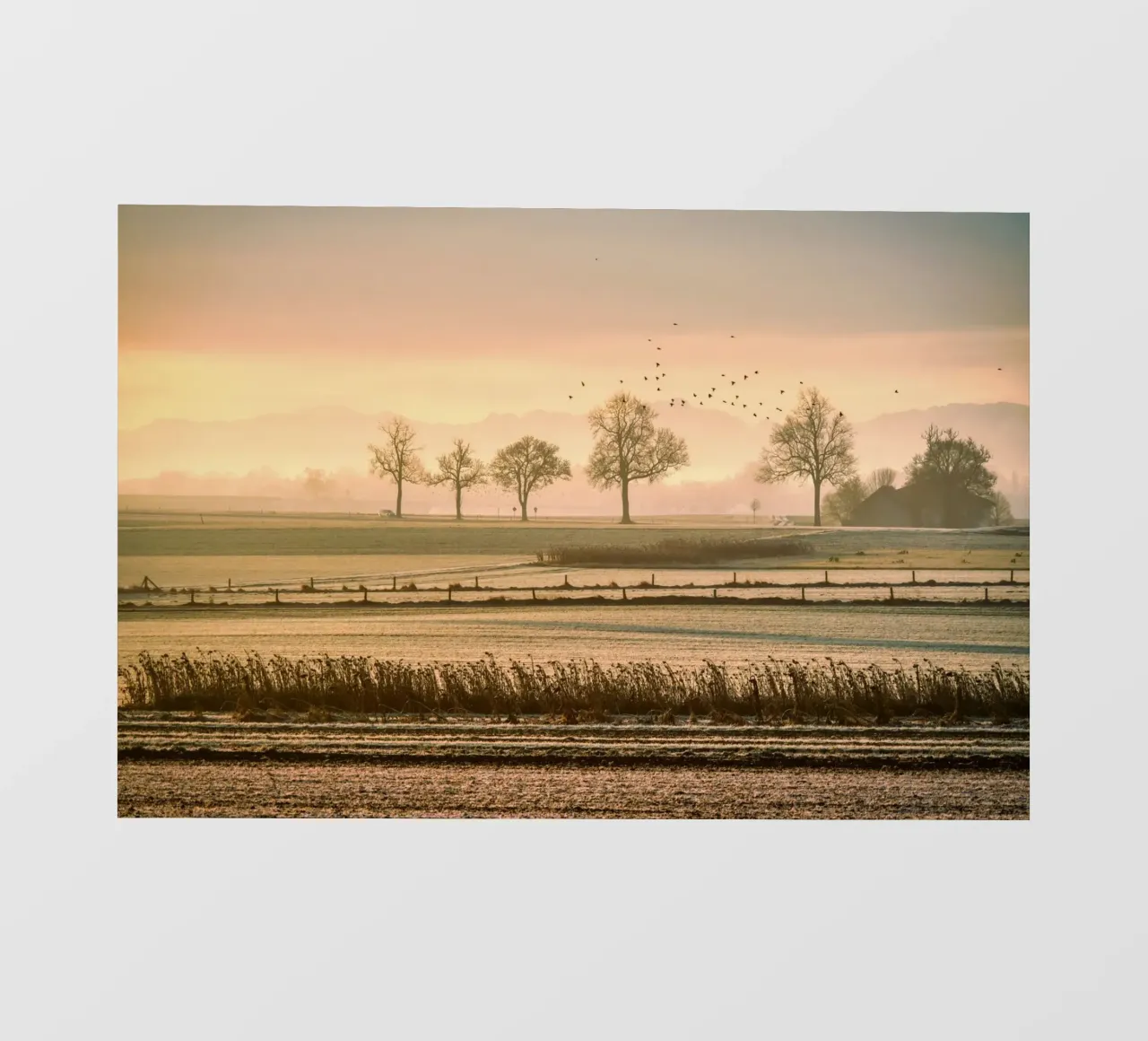old farm pellicola backlit da pastel color shape
