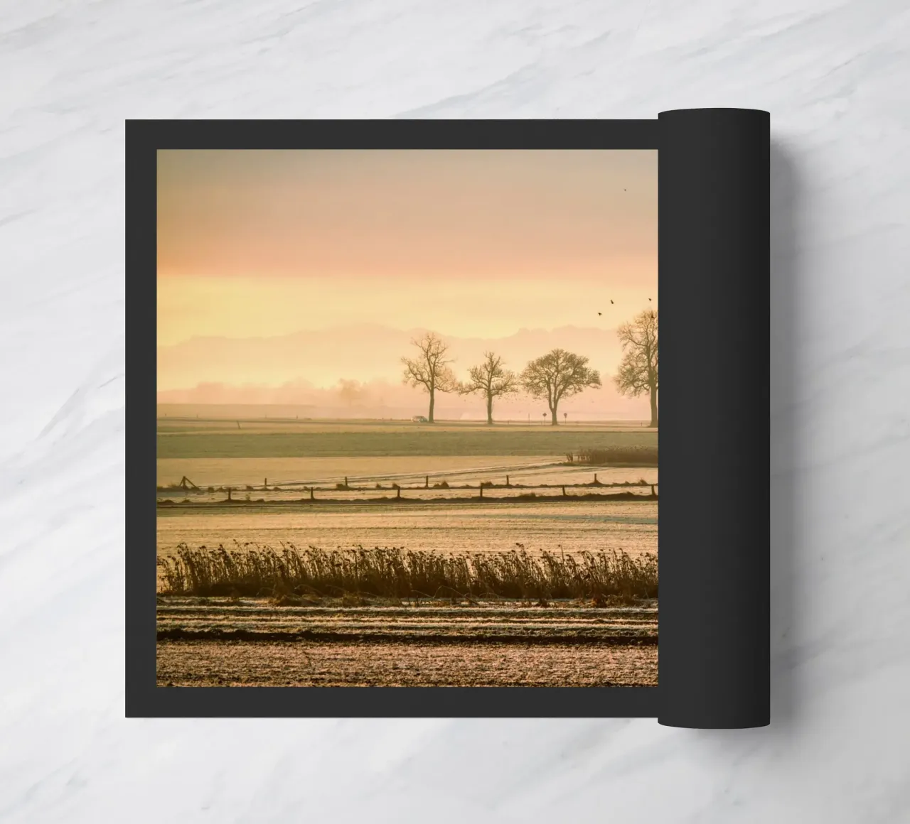 old farm zerbino da pastel color shape