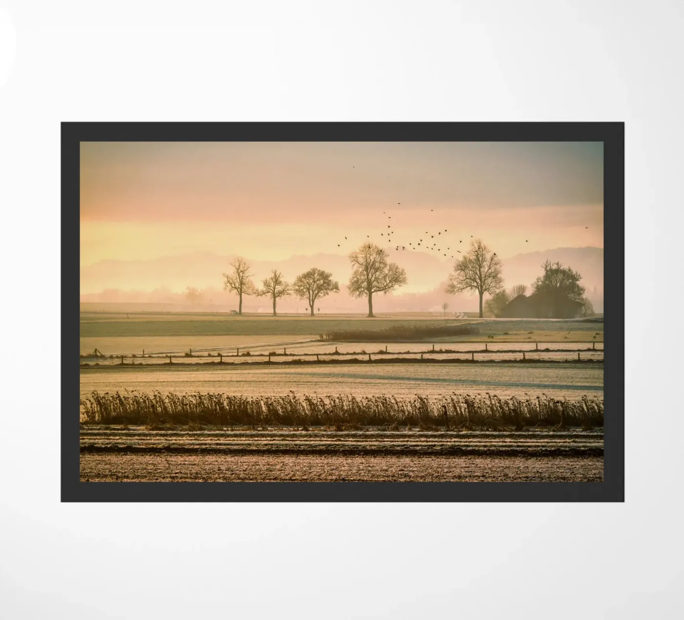 old farm deurmat van pastel color shape