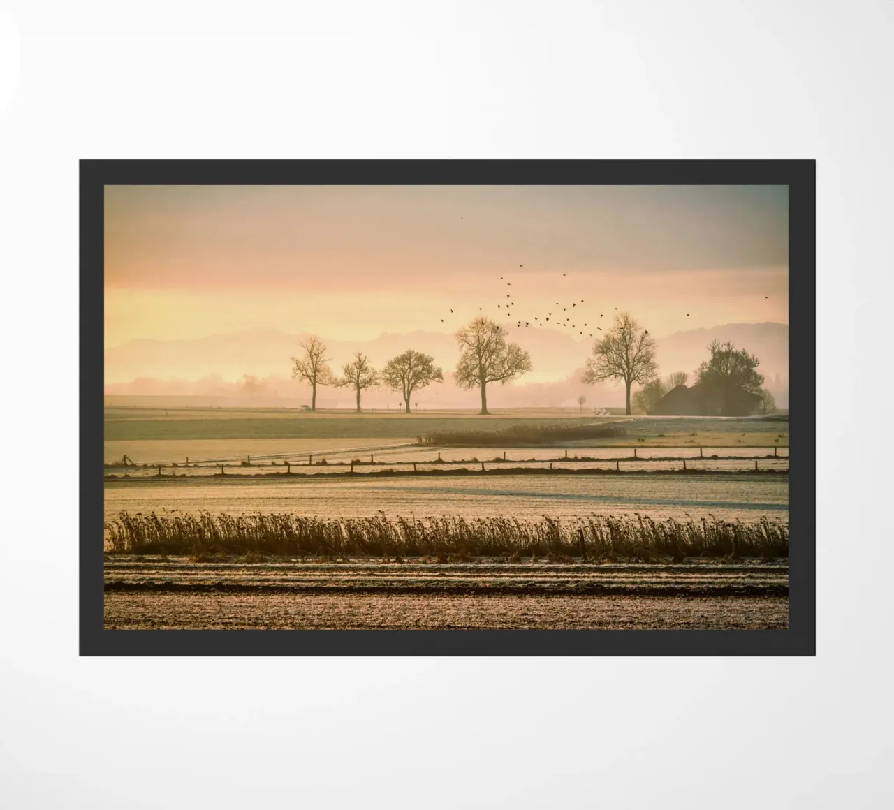 old farm zerbino da pastel color shape