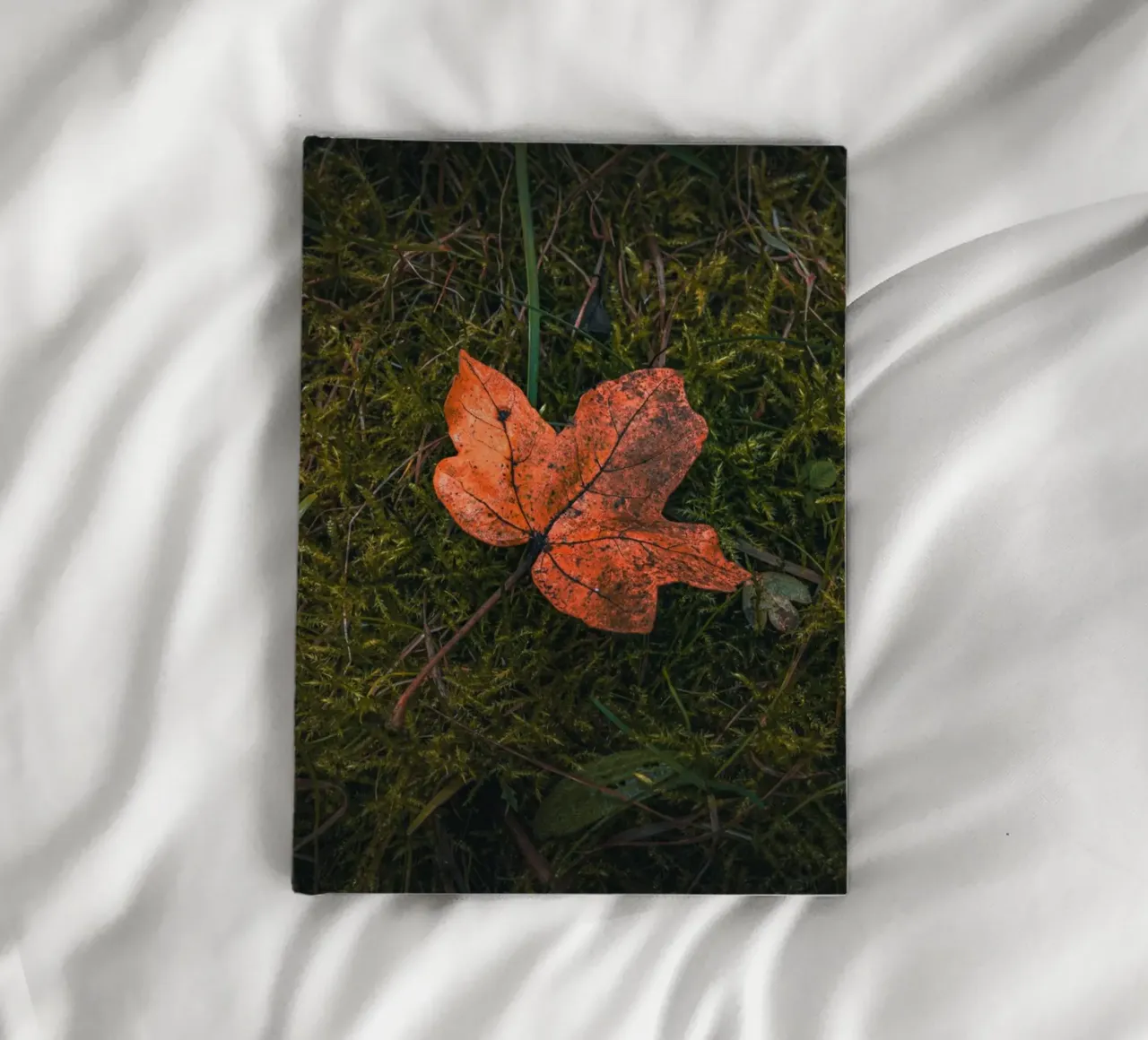 Maple leaf on moss soil notebook by Marcus Beckert | Fotografie