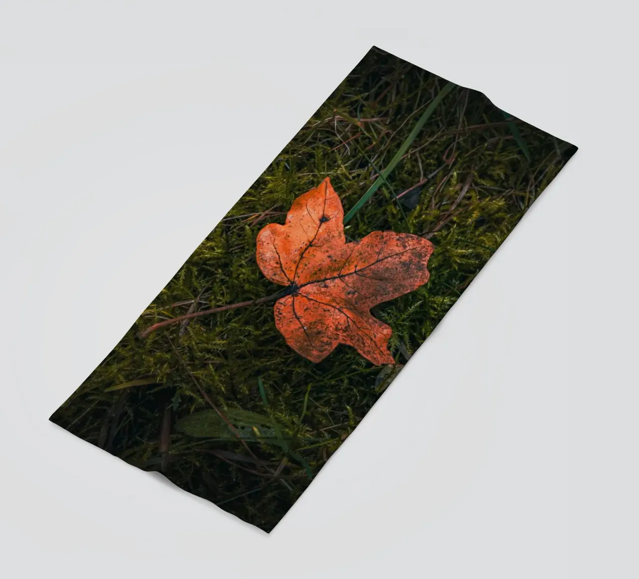 Maple leaf on moss soil beach towel by Marcus Beckert | Fotografie