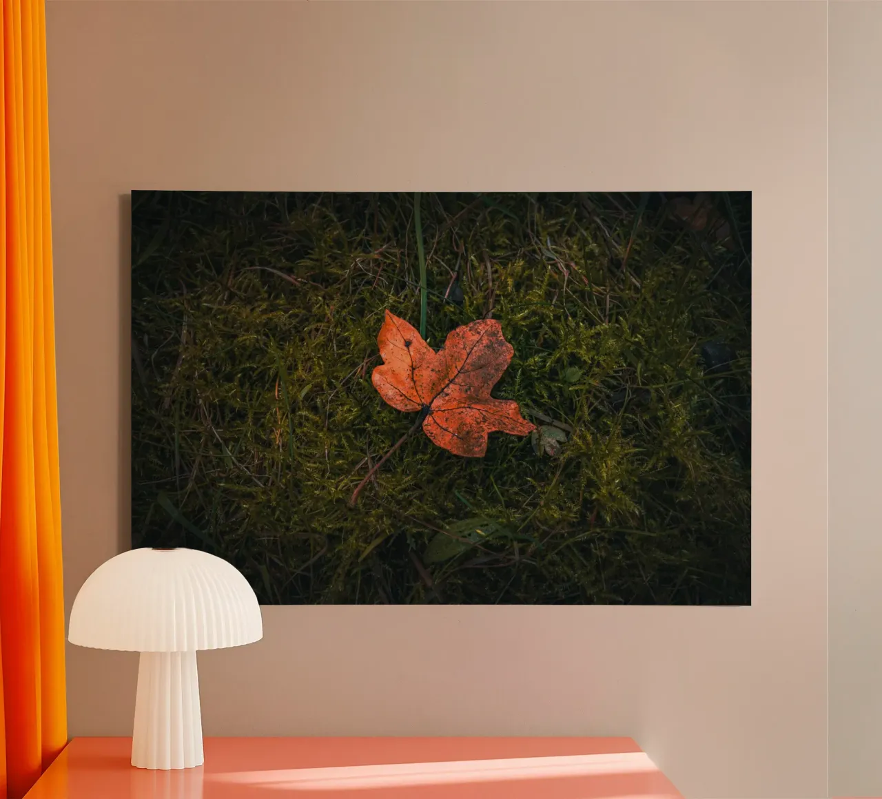 Maple leaf on moss soil canvas with Floater frame by Marcus Beckert | Fotografie