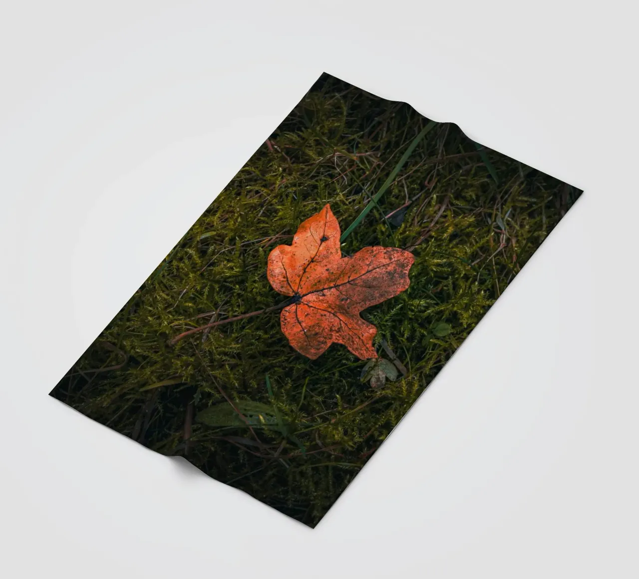 Maple leaf on moss soil fleece blanket by Marcus Beckert | Fotografie