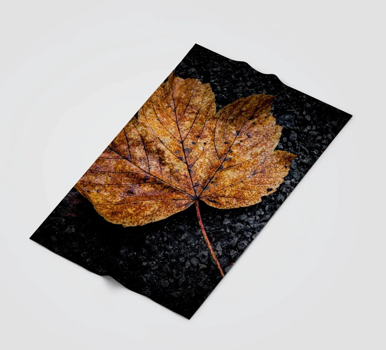 Gelbes Ahornblatt Fleecedecke von Marcus Beckert | Fotografie