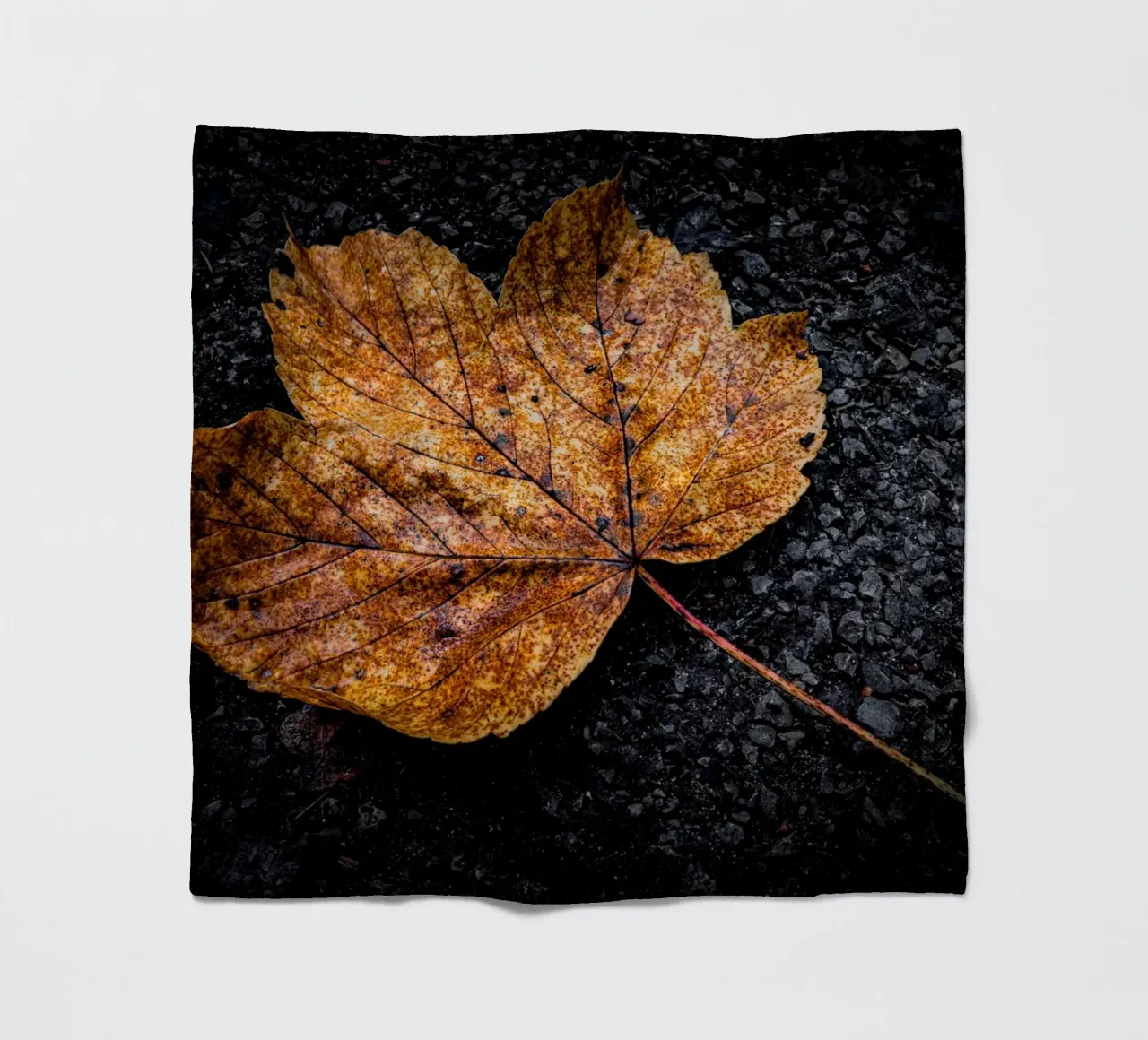 Gelbes Ahornblatt Fleecedecke von Marcus Beckert | Fotografie