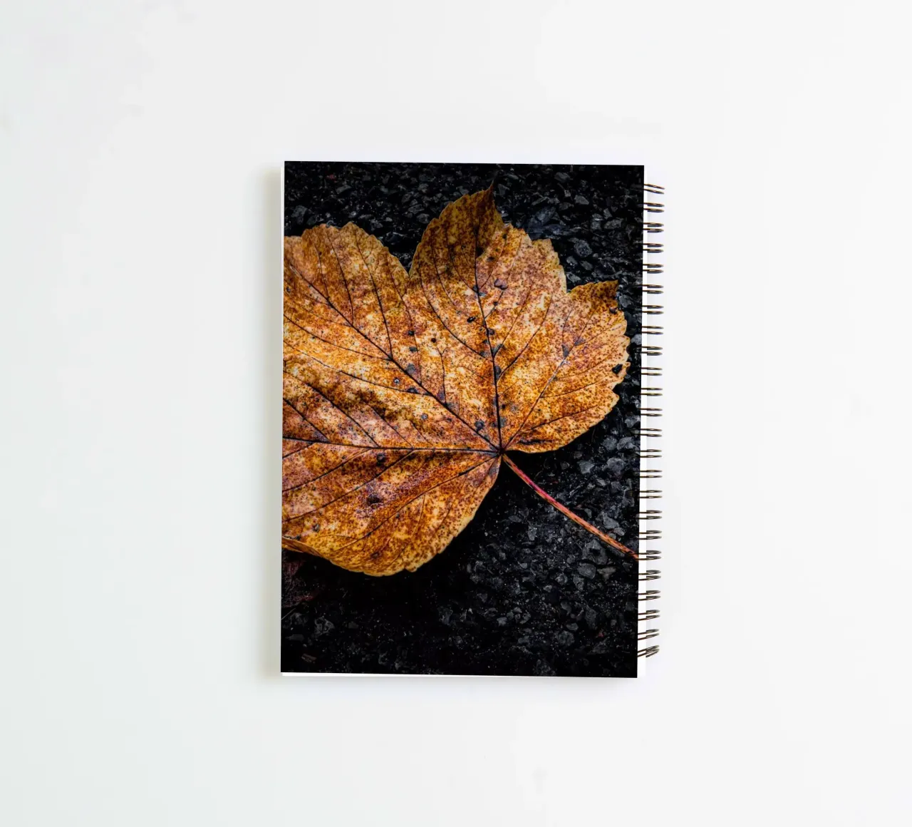 Yellow maple leaf spiral notebook by Marcus Beckert | Fotografie