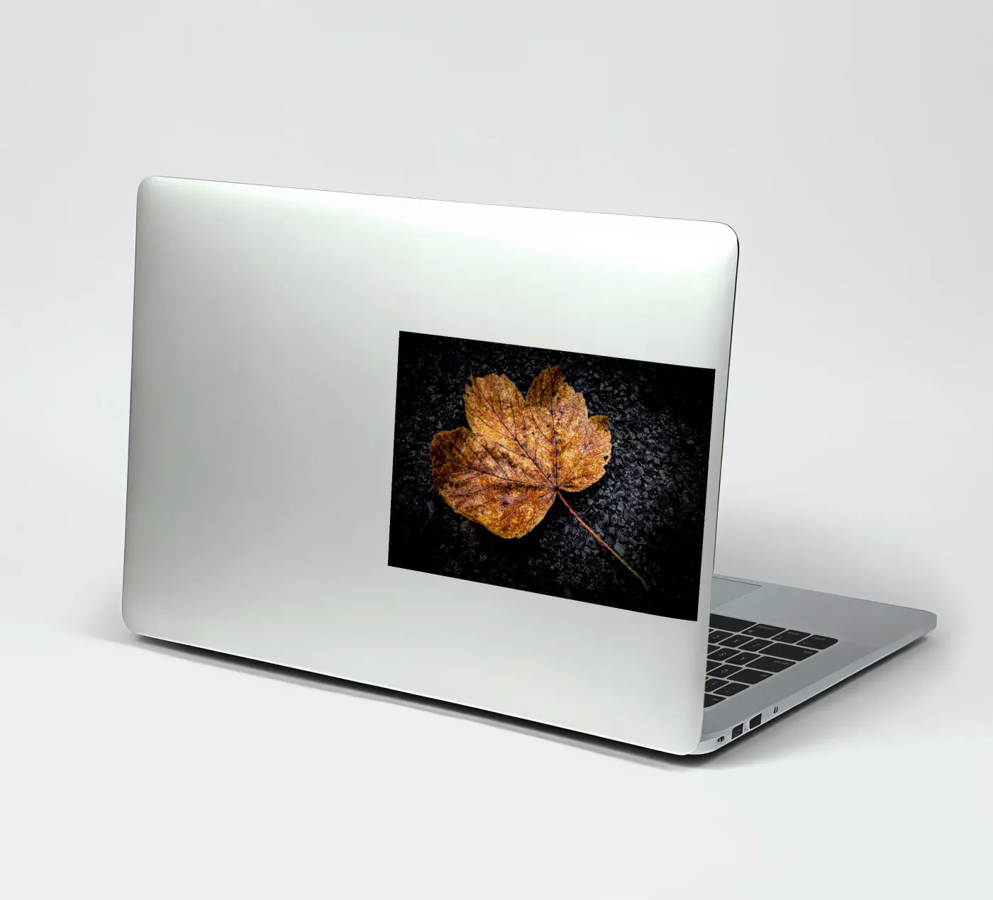 Gelbes Ahornblatt Sticker von Marcus Beckert | Fotografie