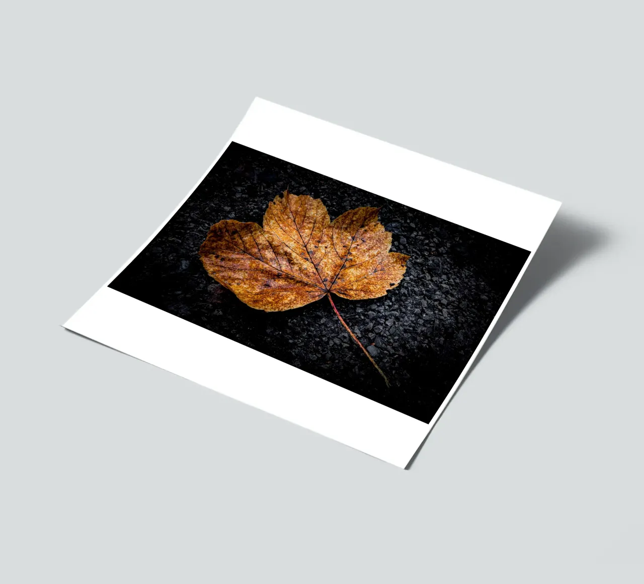 Yellow maple leaf sticker sheet by Marcus Beckert | Fotografie