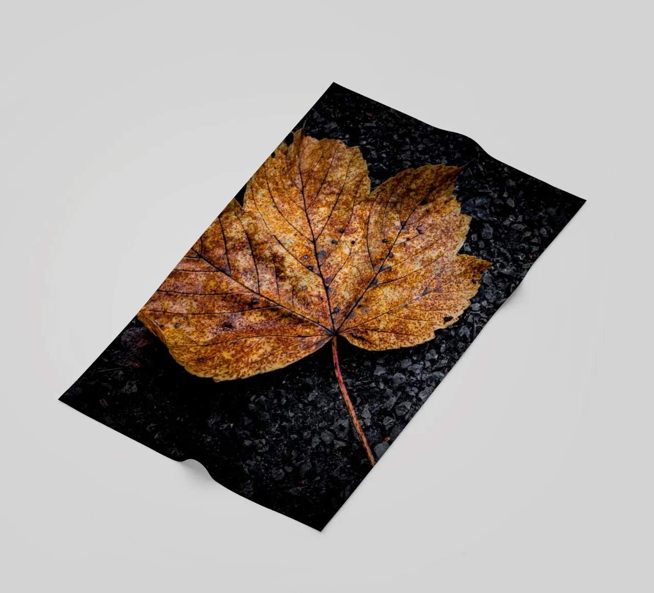 Foglia d'acero gialla telo mare da Marcus Beckert | Fotografie