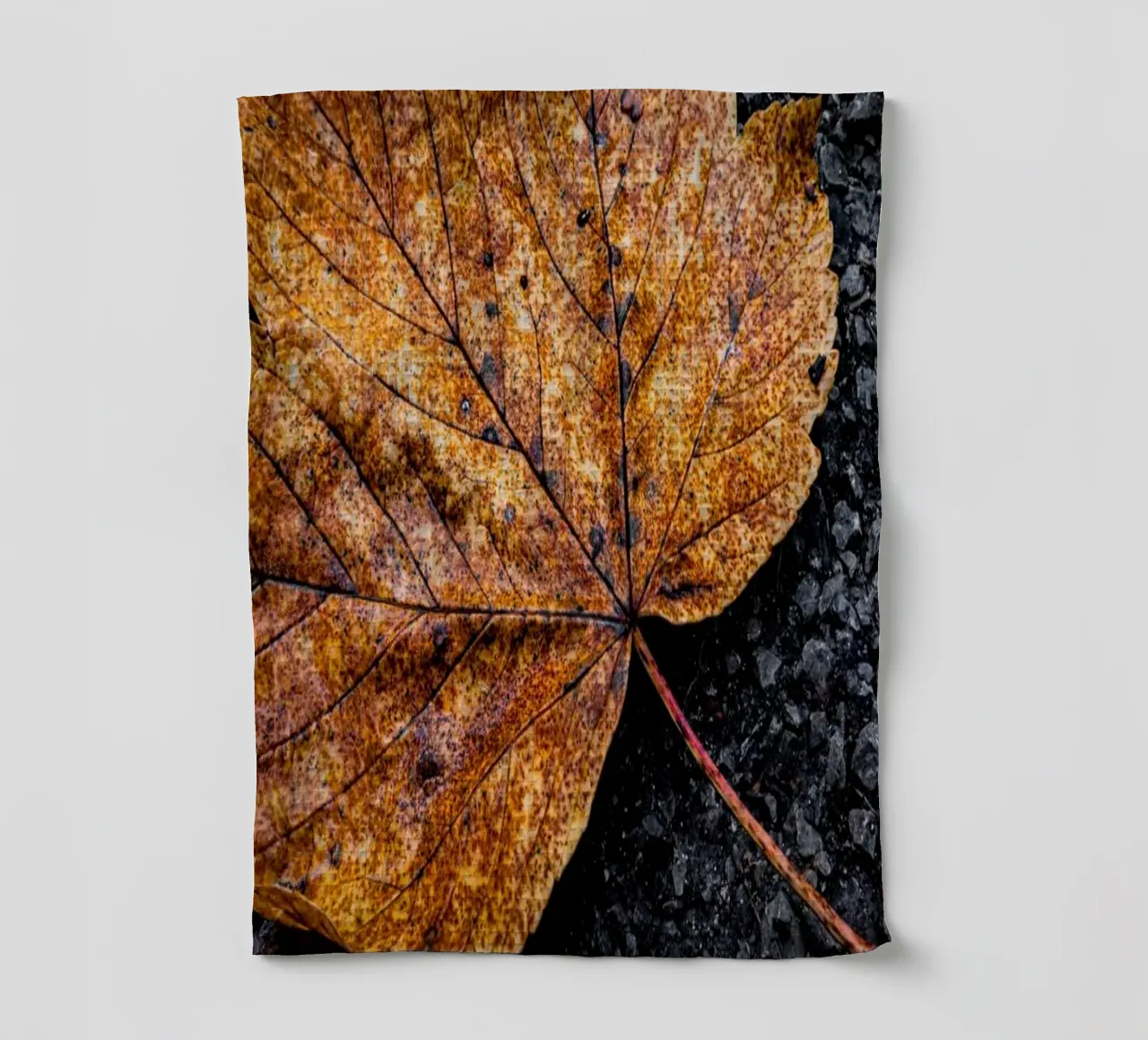 Feuille d'érable jaune torchon de Marcus Beckert | Fotografie