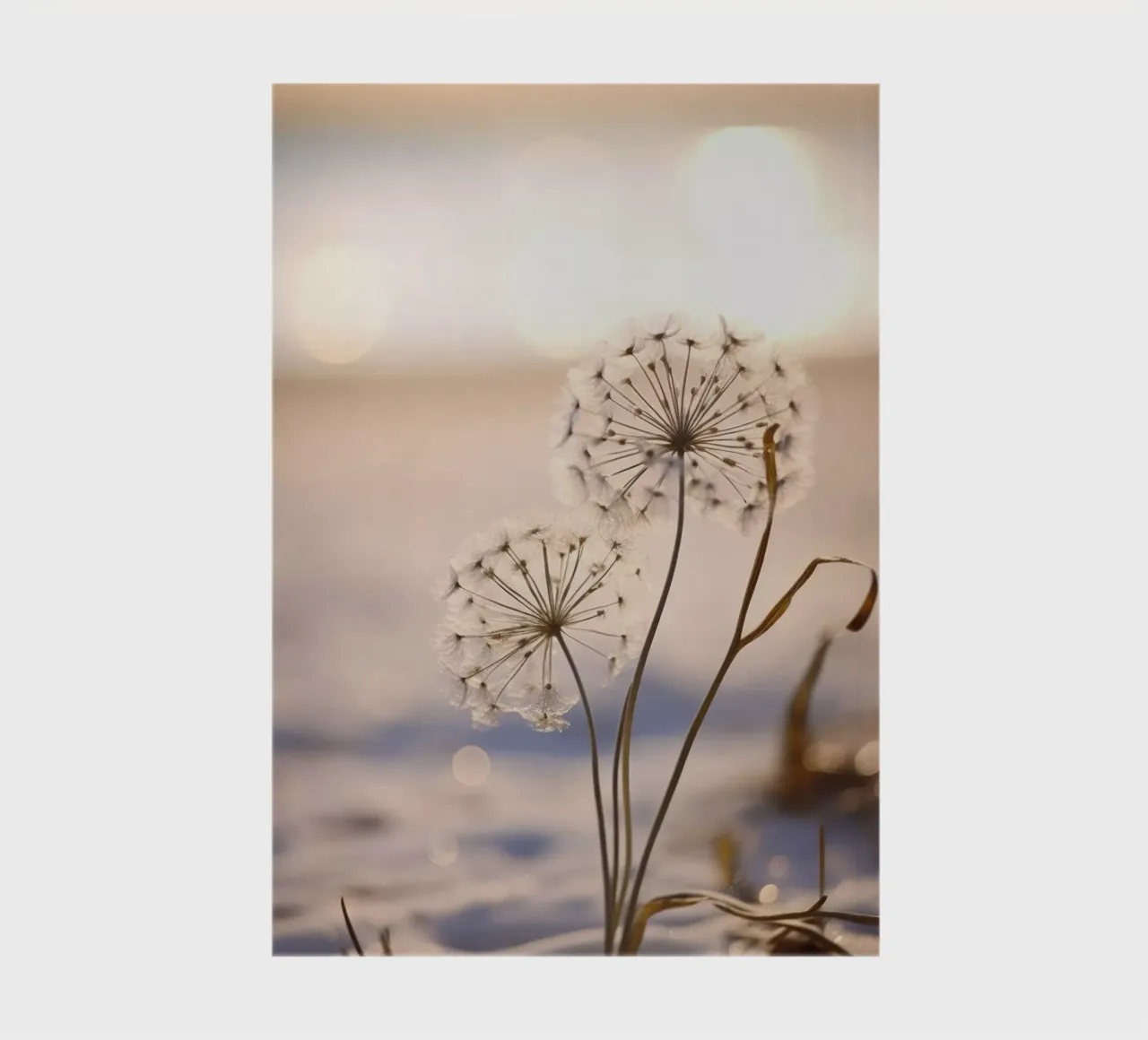 Beach Impressions No 5 Notizbuch von treechild